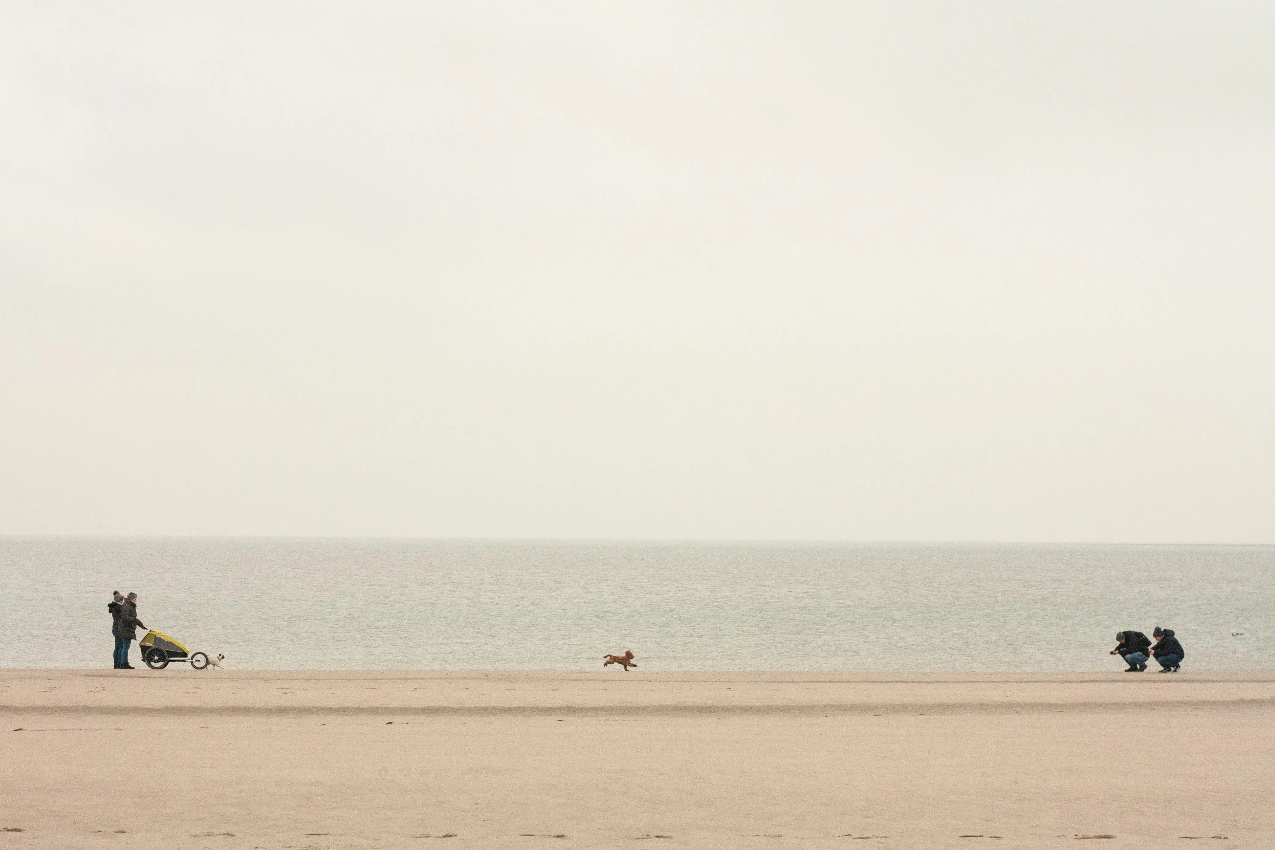 Wat te doen in Renesse in de winter
