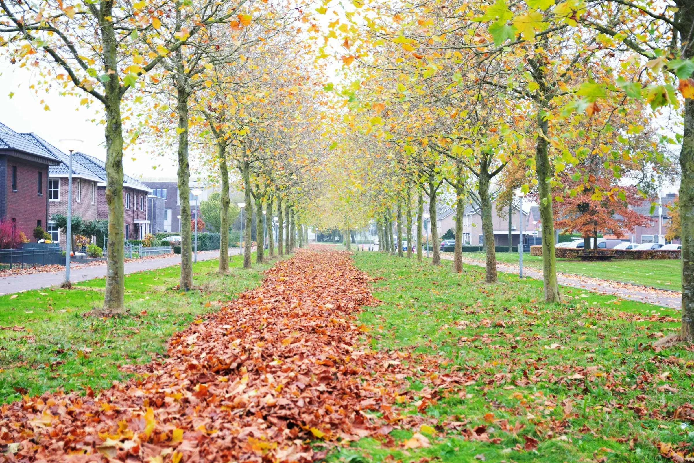 Wat te doen in Winschoten in de herfst