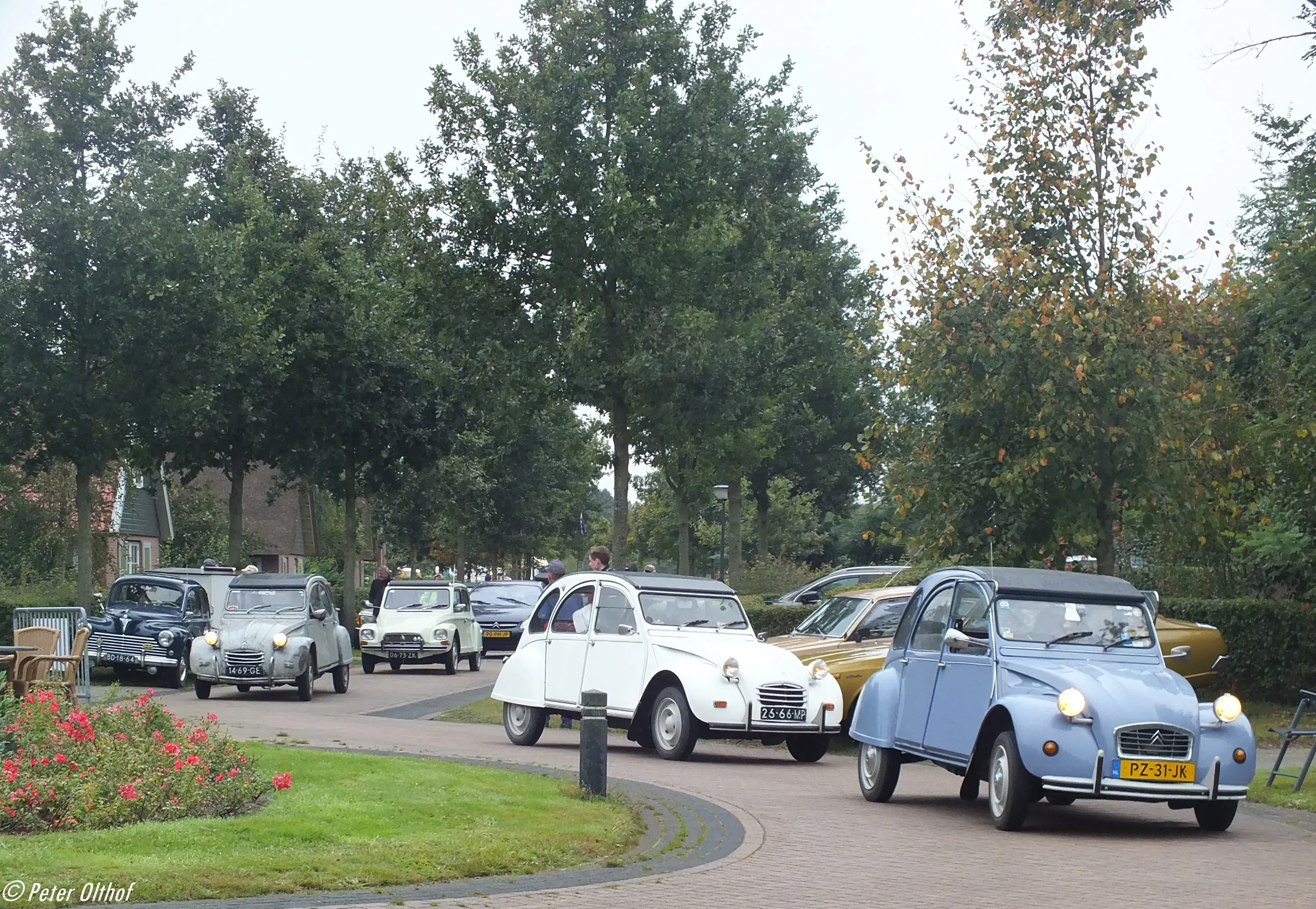 Wat te doen in Appelscha in de herfst