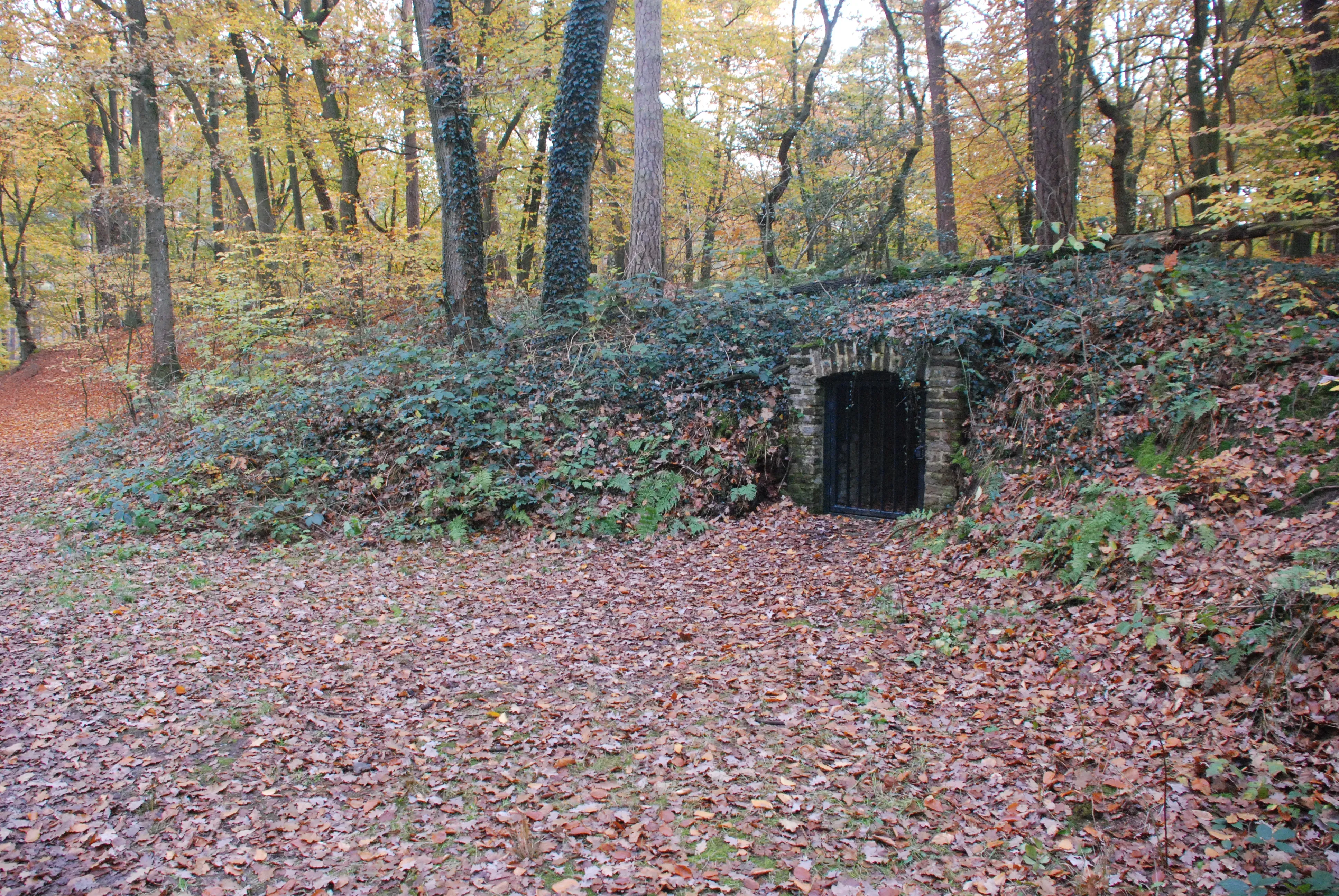 Wat te doen in Arcen in de herfst?