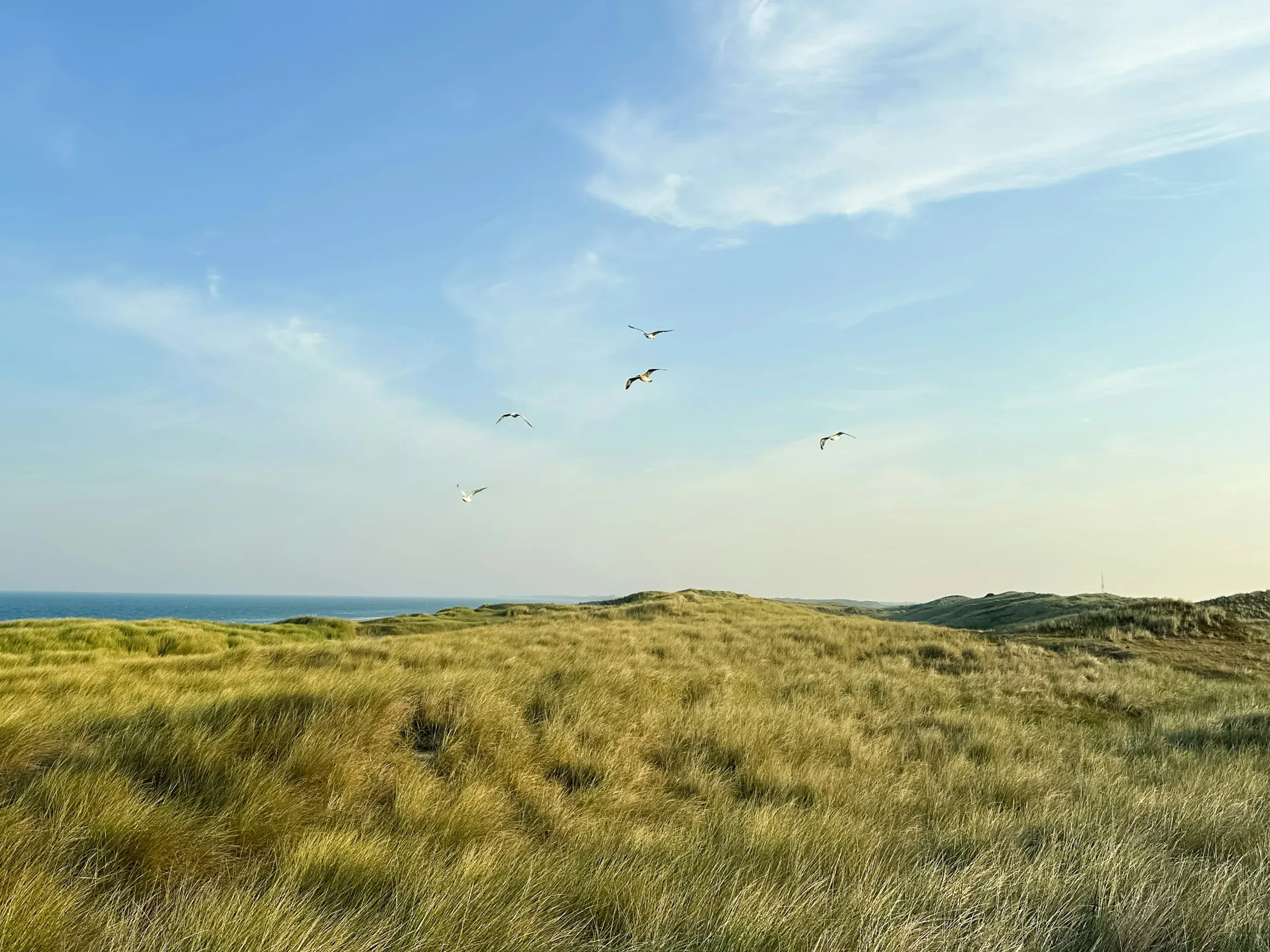 Wat te doen in Callantsoog in de herfst