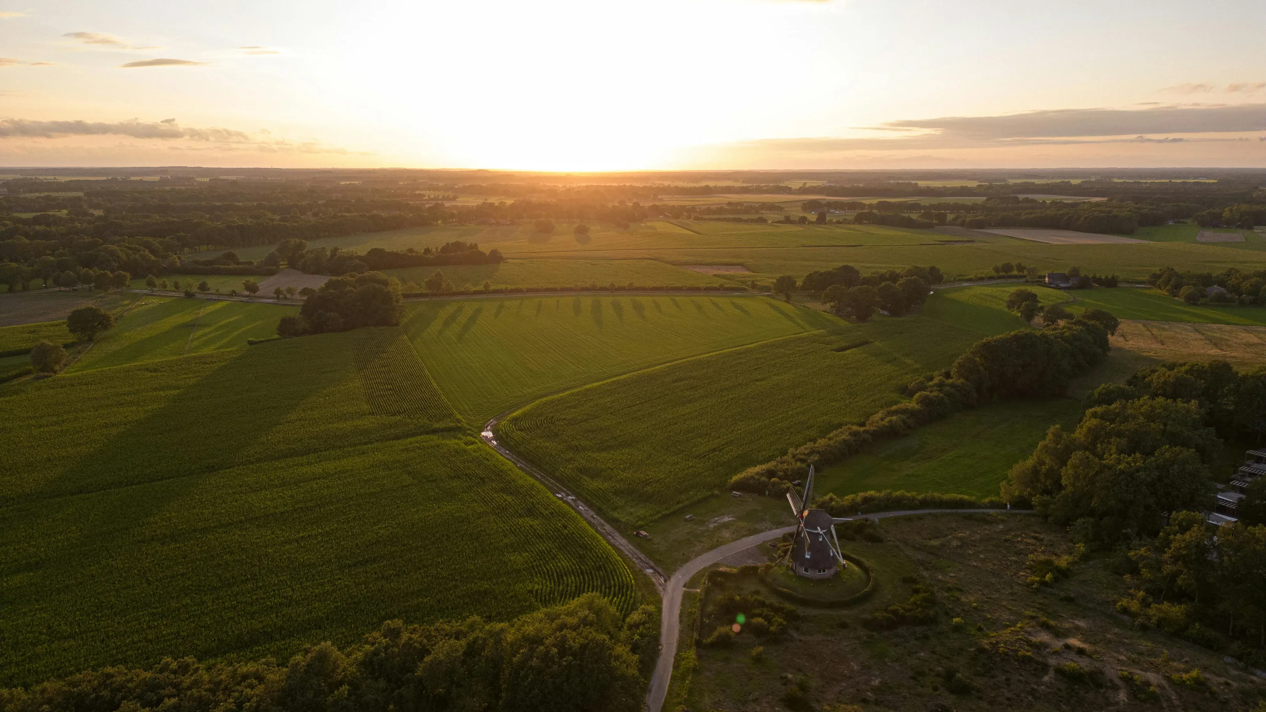Zomer in Ruinen