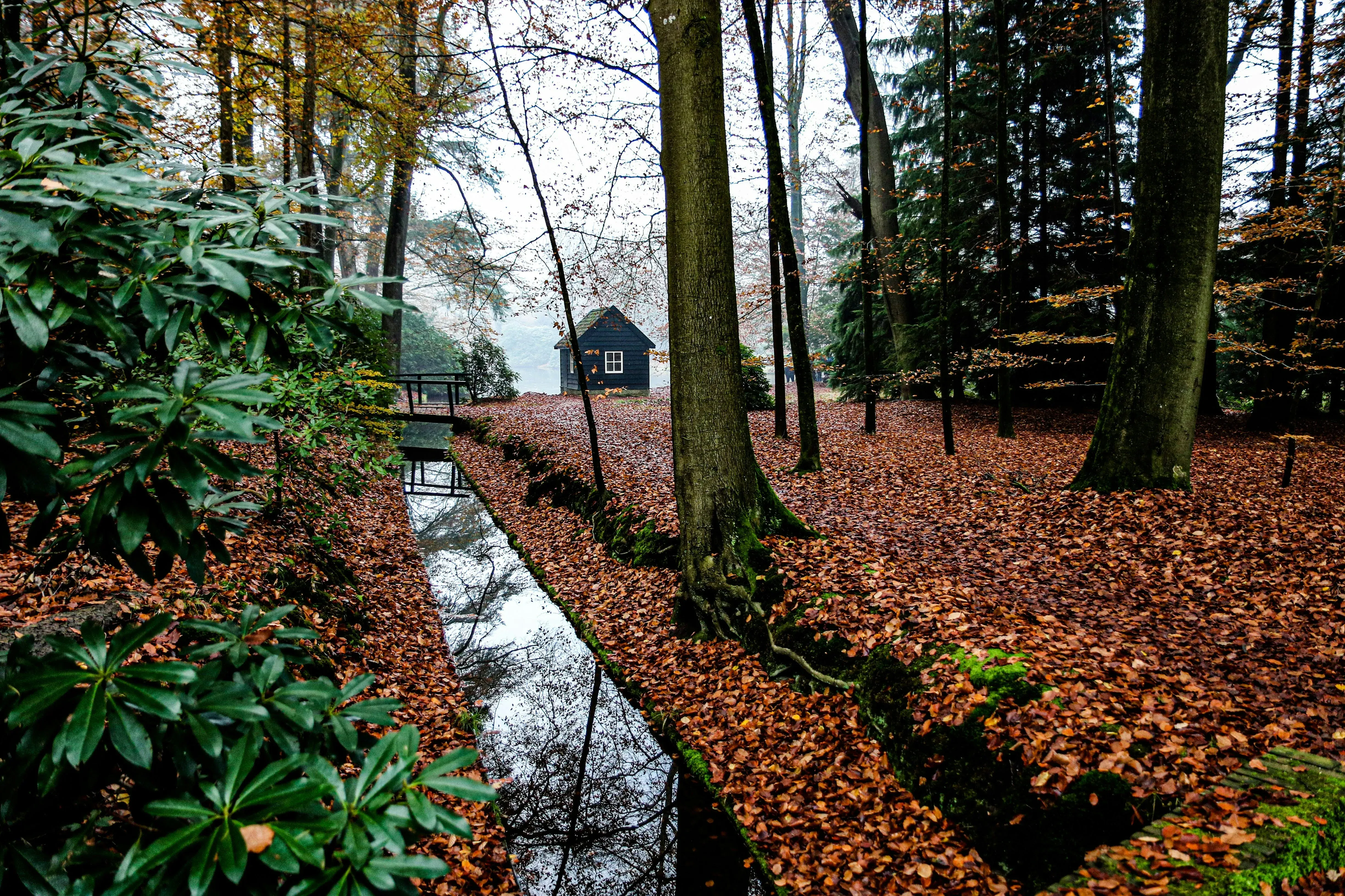 Wat te doen in Apeldoorn in de herfst