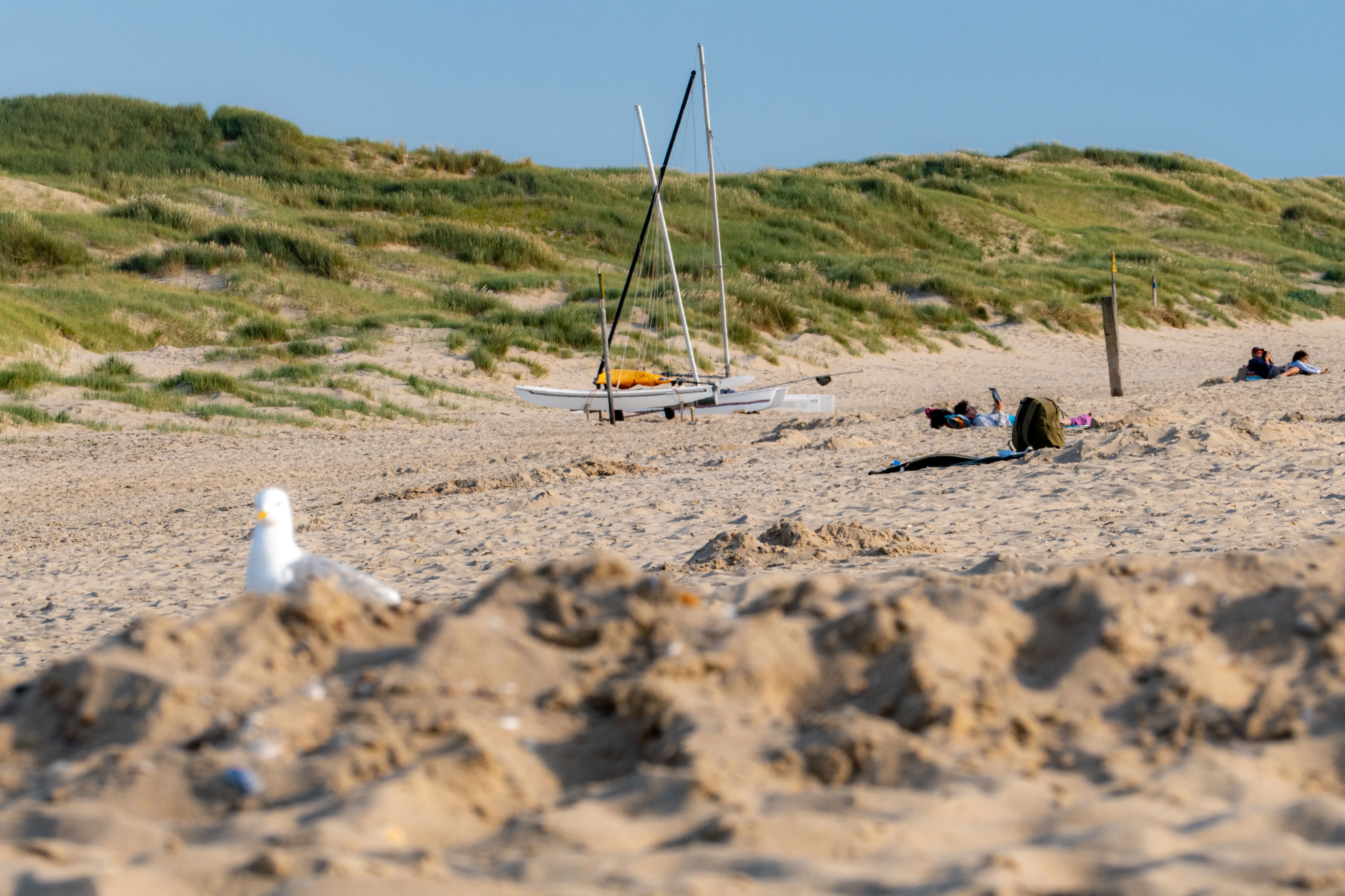 Wat te doen in Julianadorp in de zomer