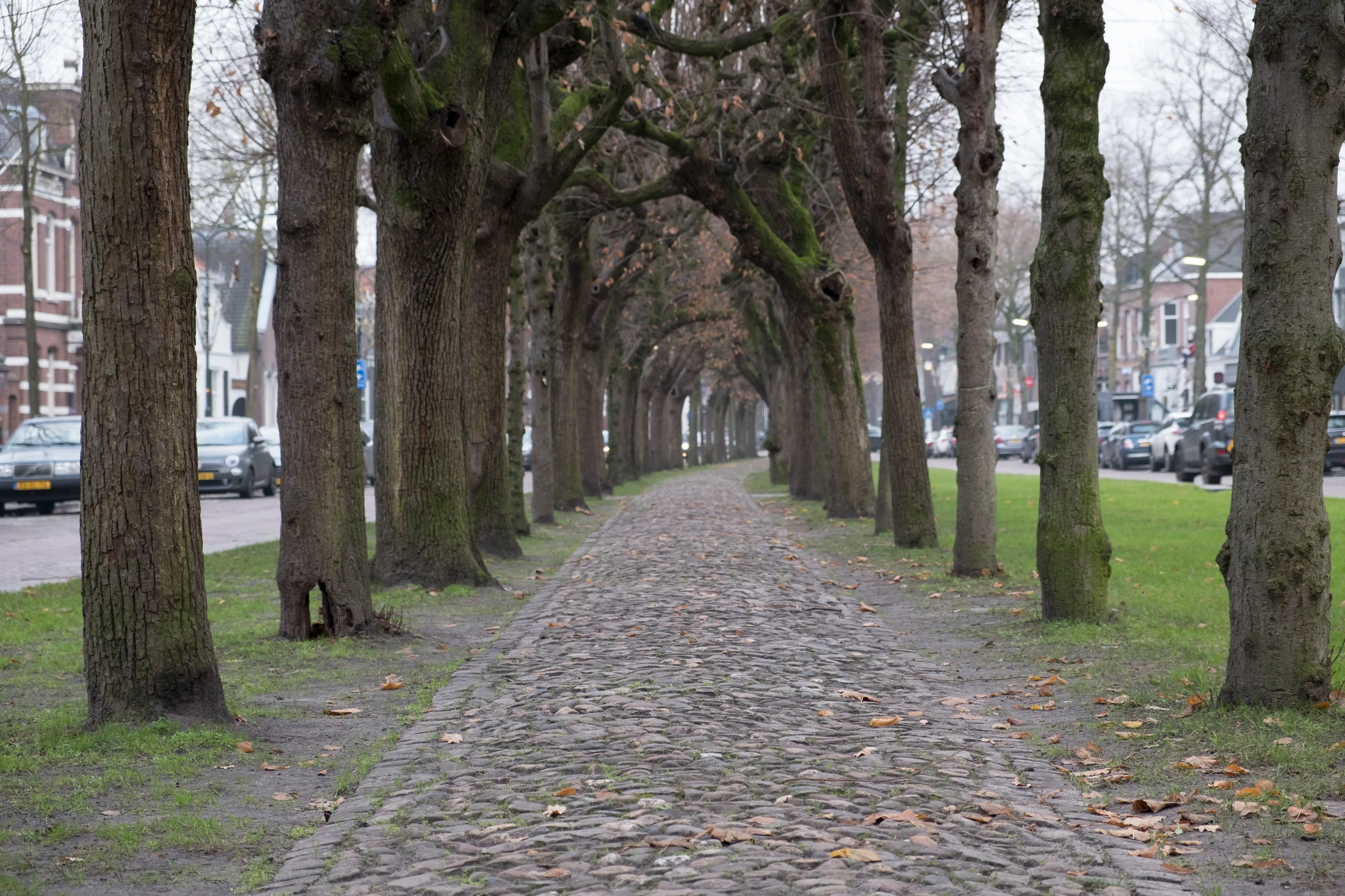 Wat te doen in Oisterwijk in de winter