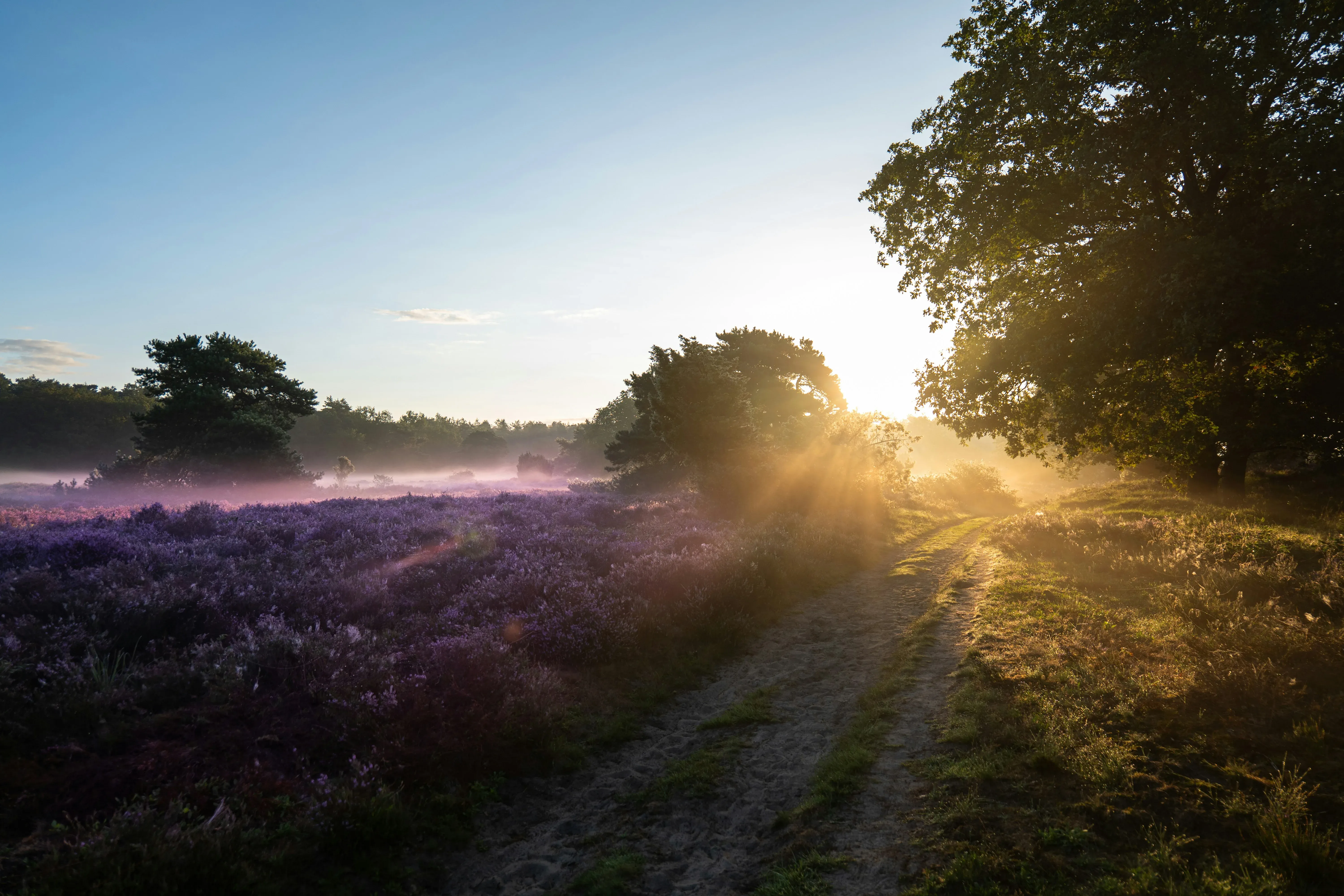 Lente in Ruinen