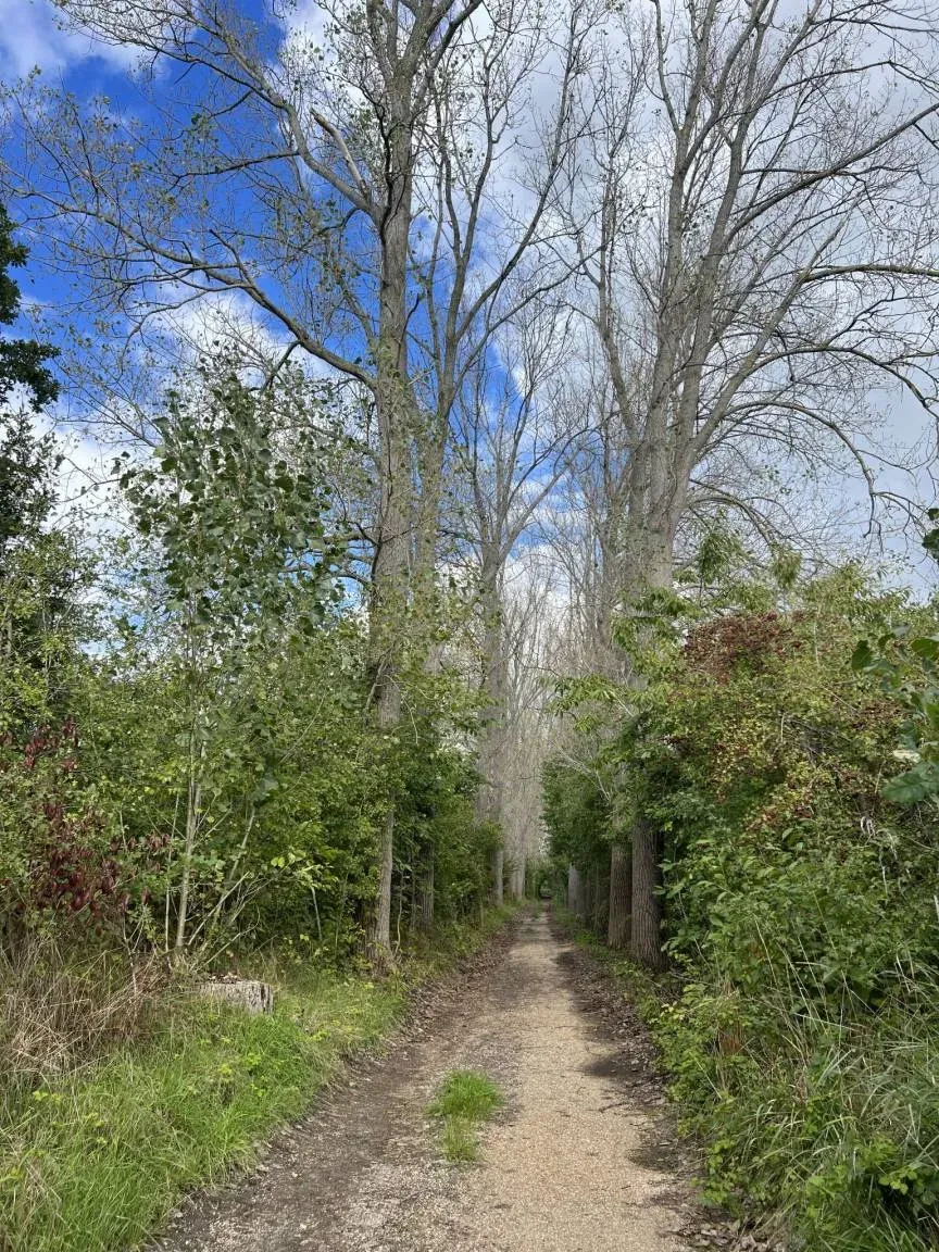 Park photo