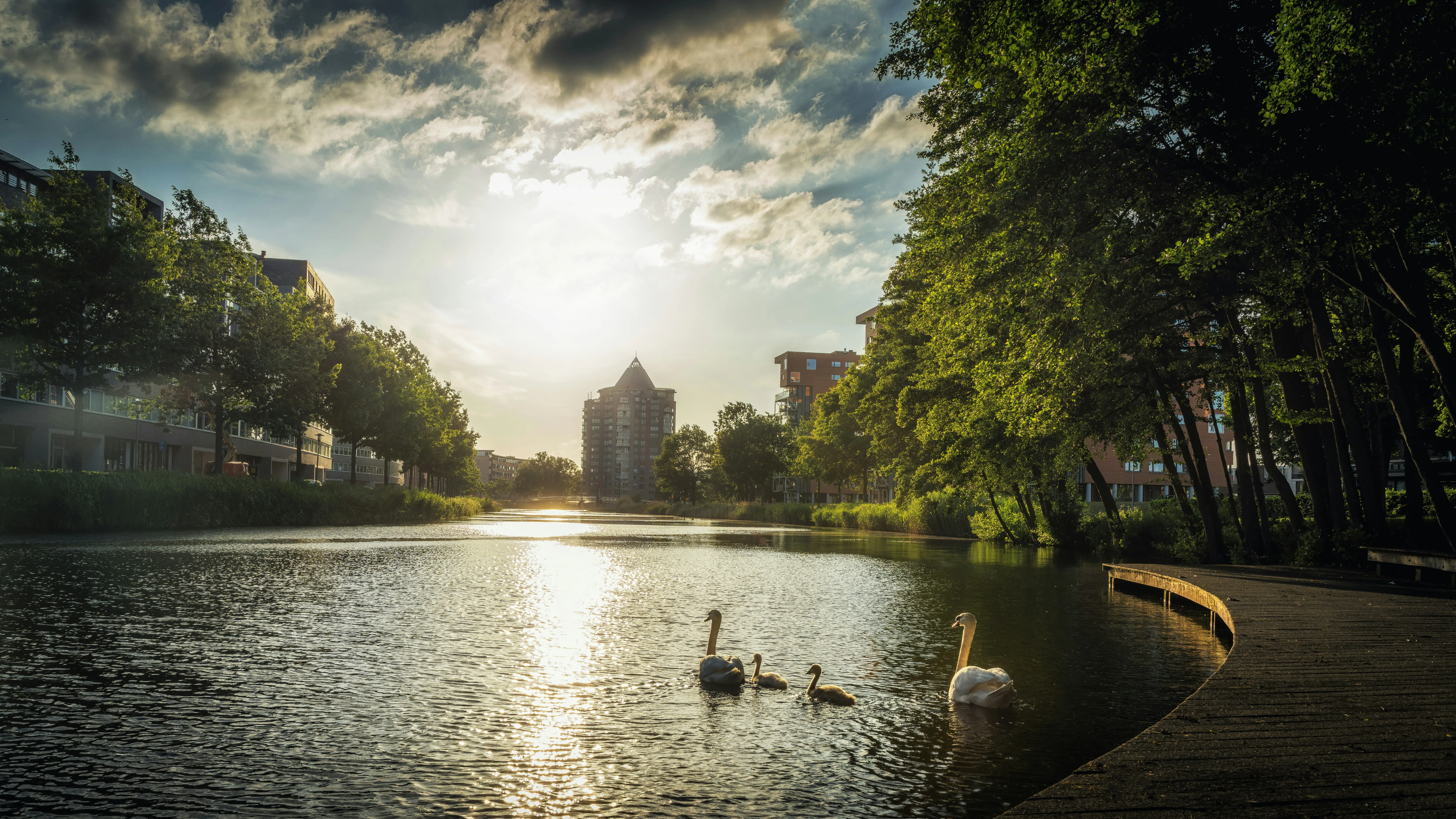 Wat te doen in Arnhem in de zomer