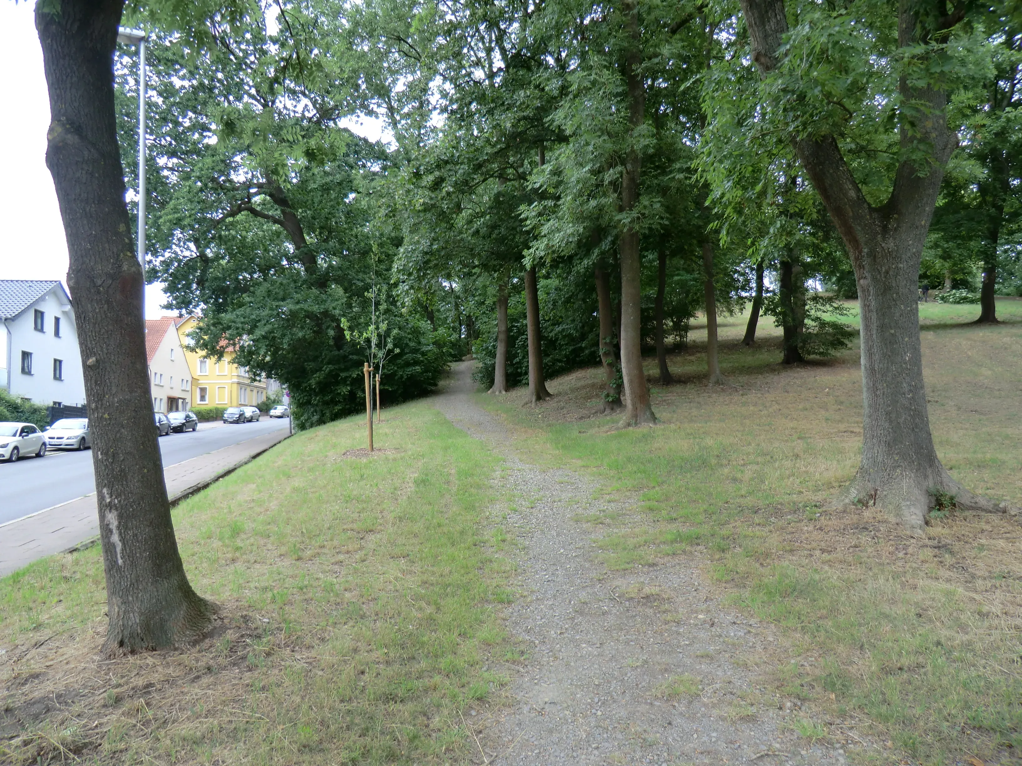 Wat te doen in Luttenberg in de lente
