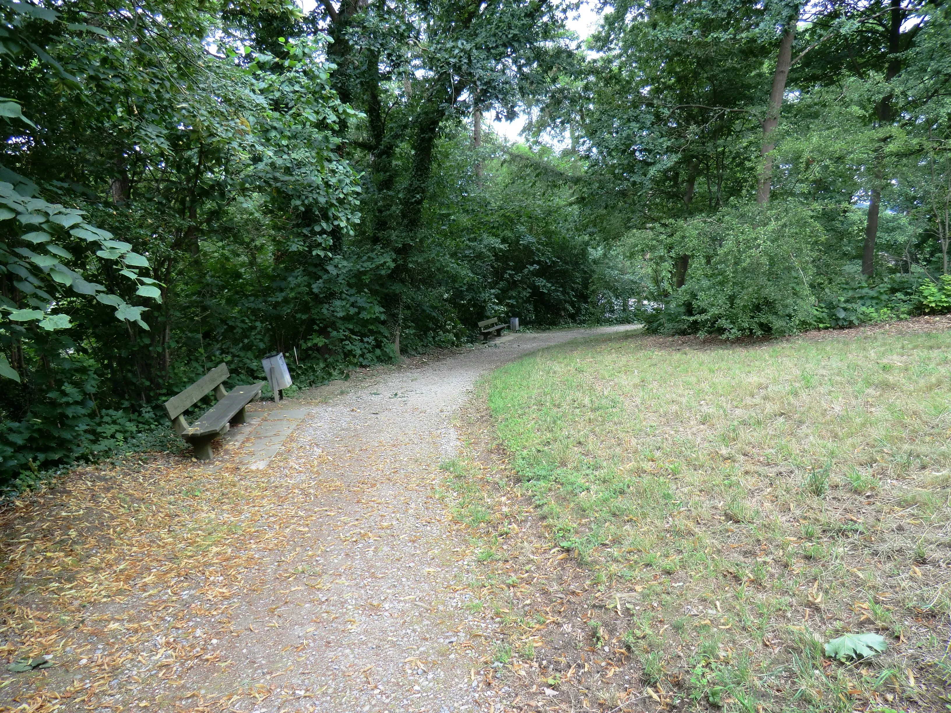 Wat te doen in Luttenberg in de zomer