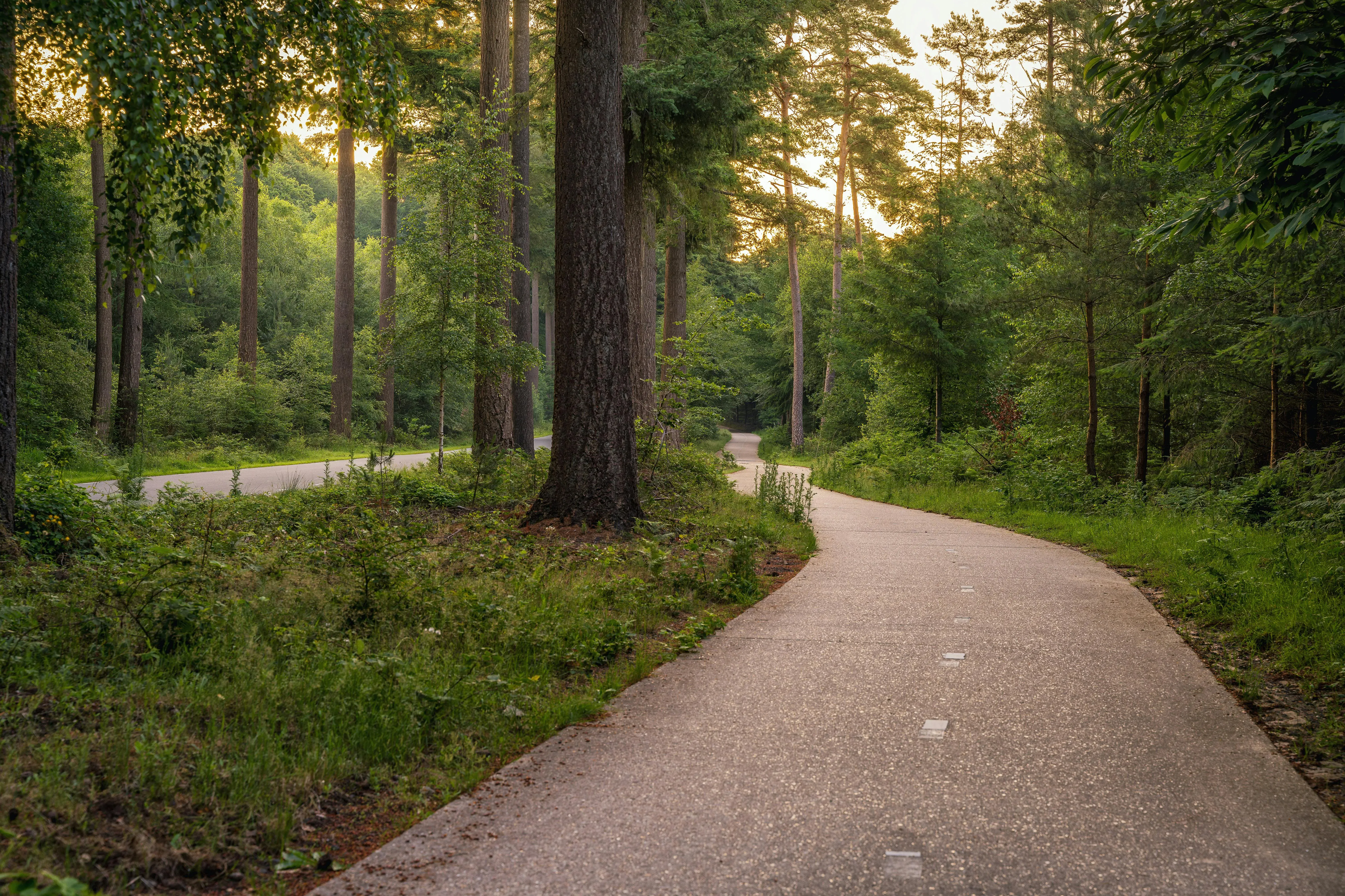 Wat te doen in Ermelo in de zomer