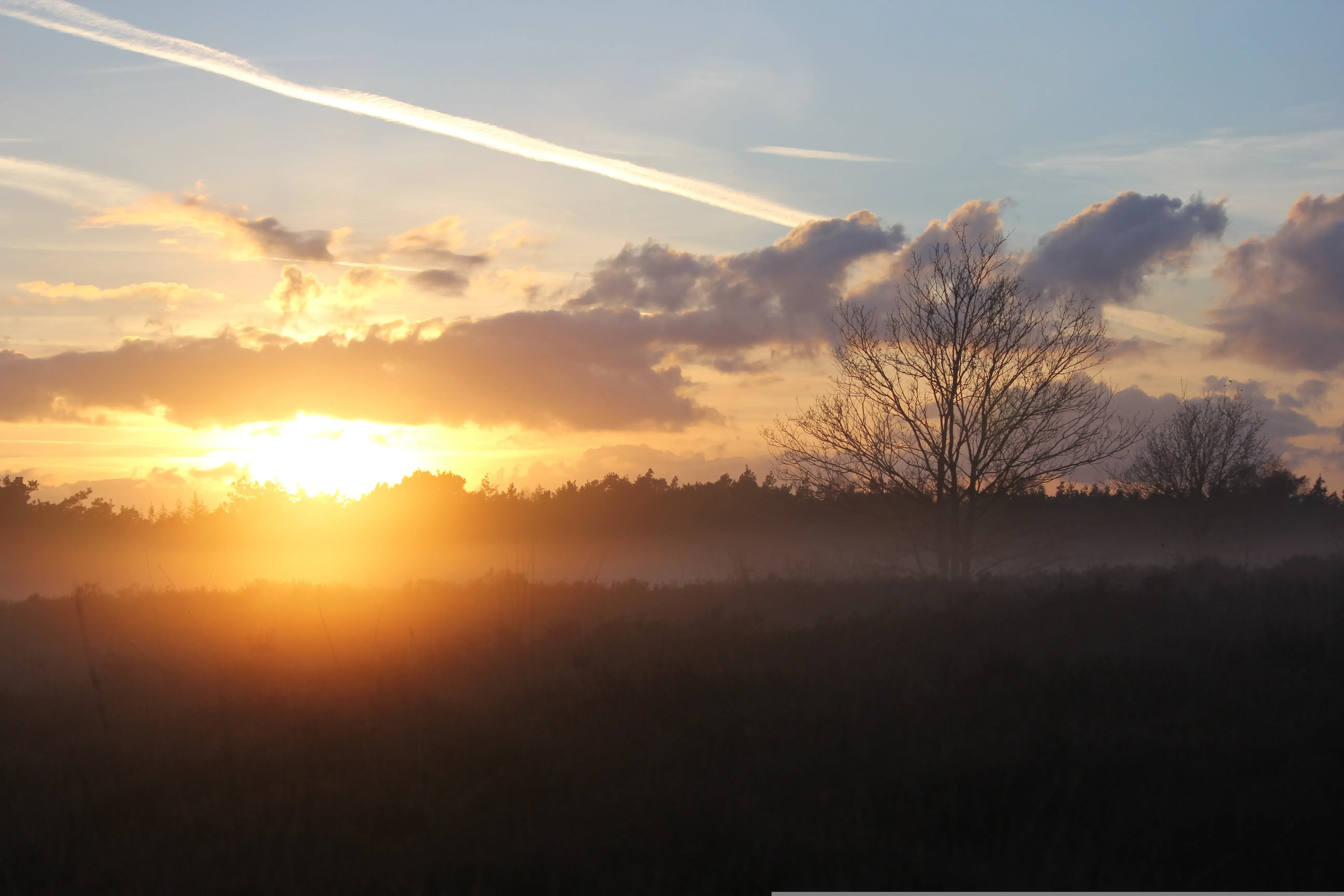 Wat te doen in Nunspeet in de winter