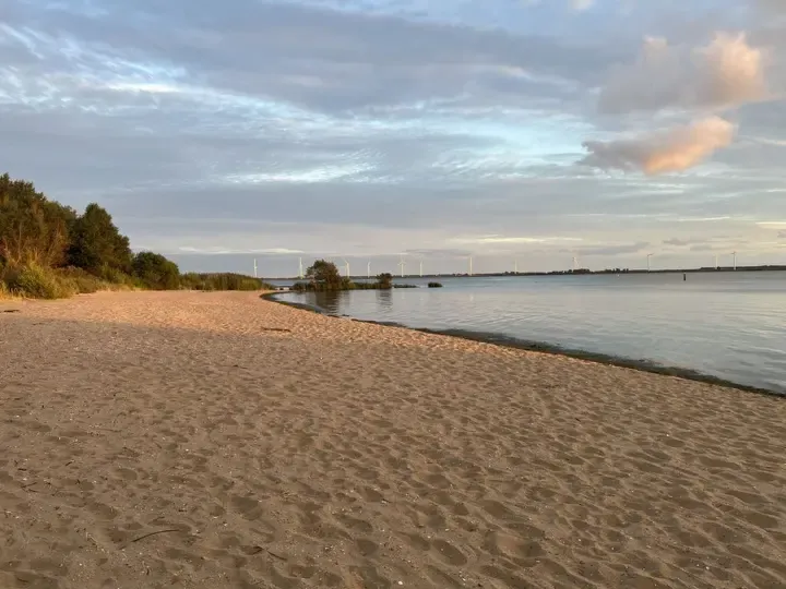 Park photo