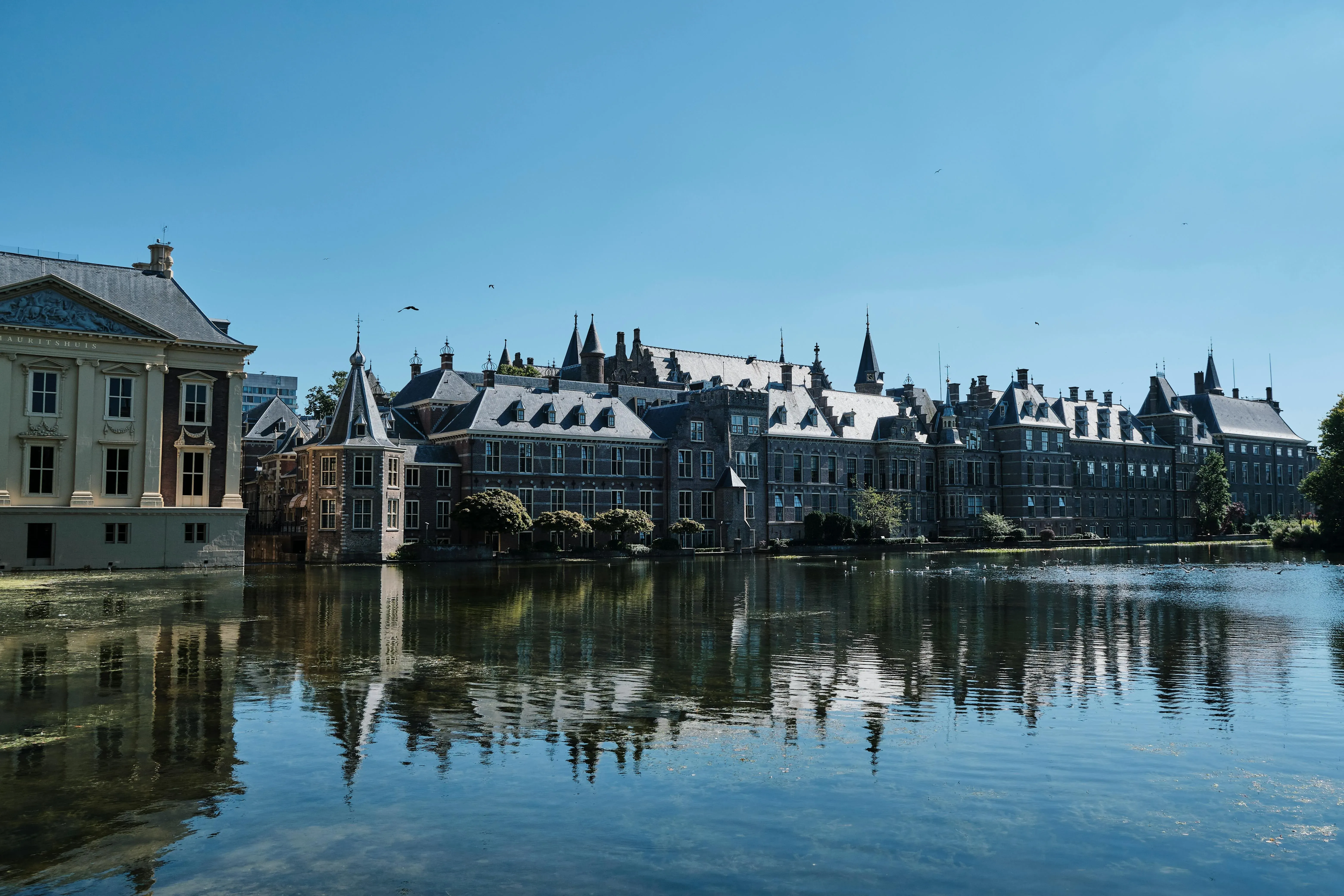 Wat te doen in Den Haag in de zomer