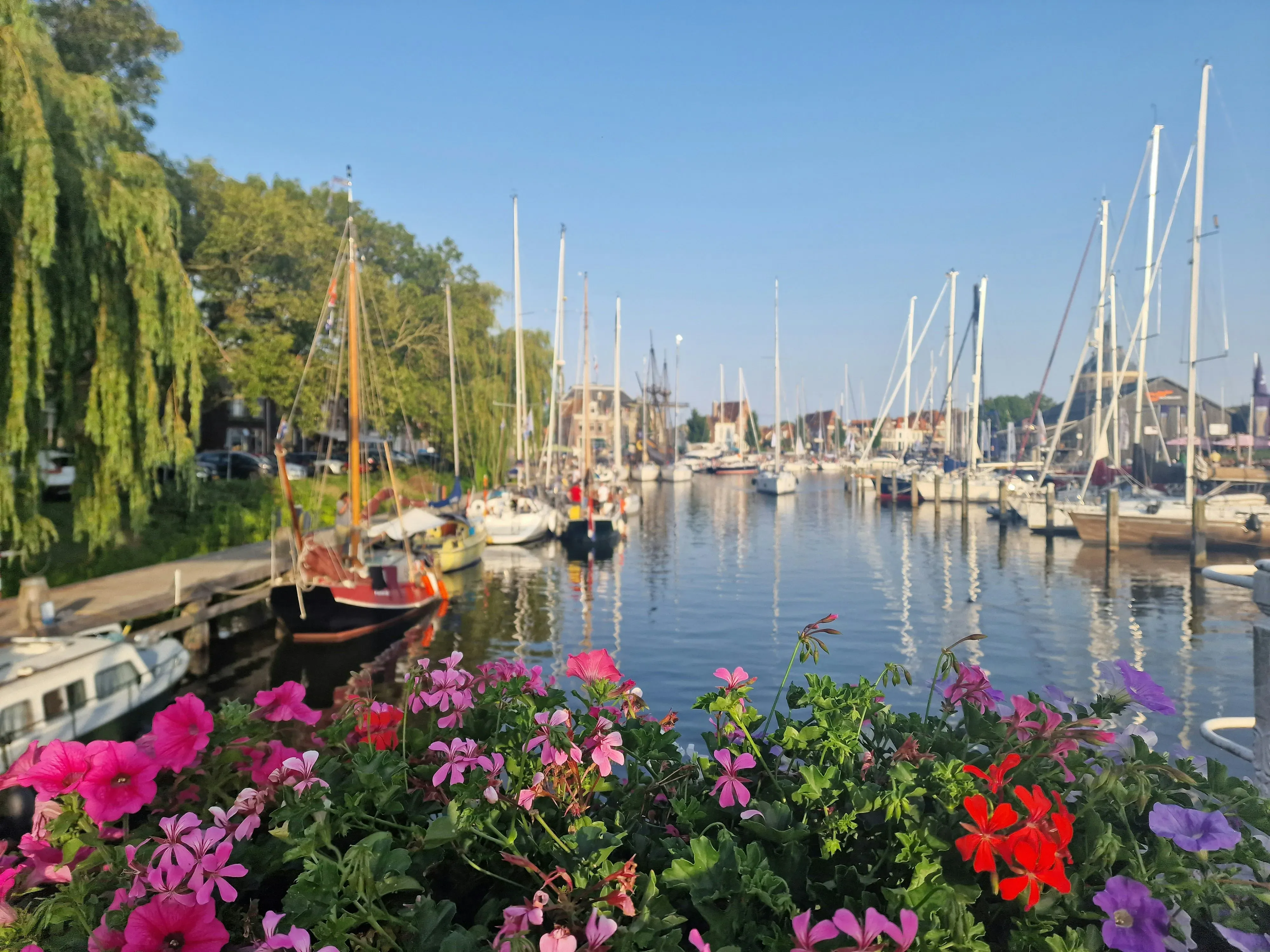 Wat te doen in Enkhuizen in de lente