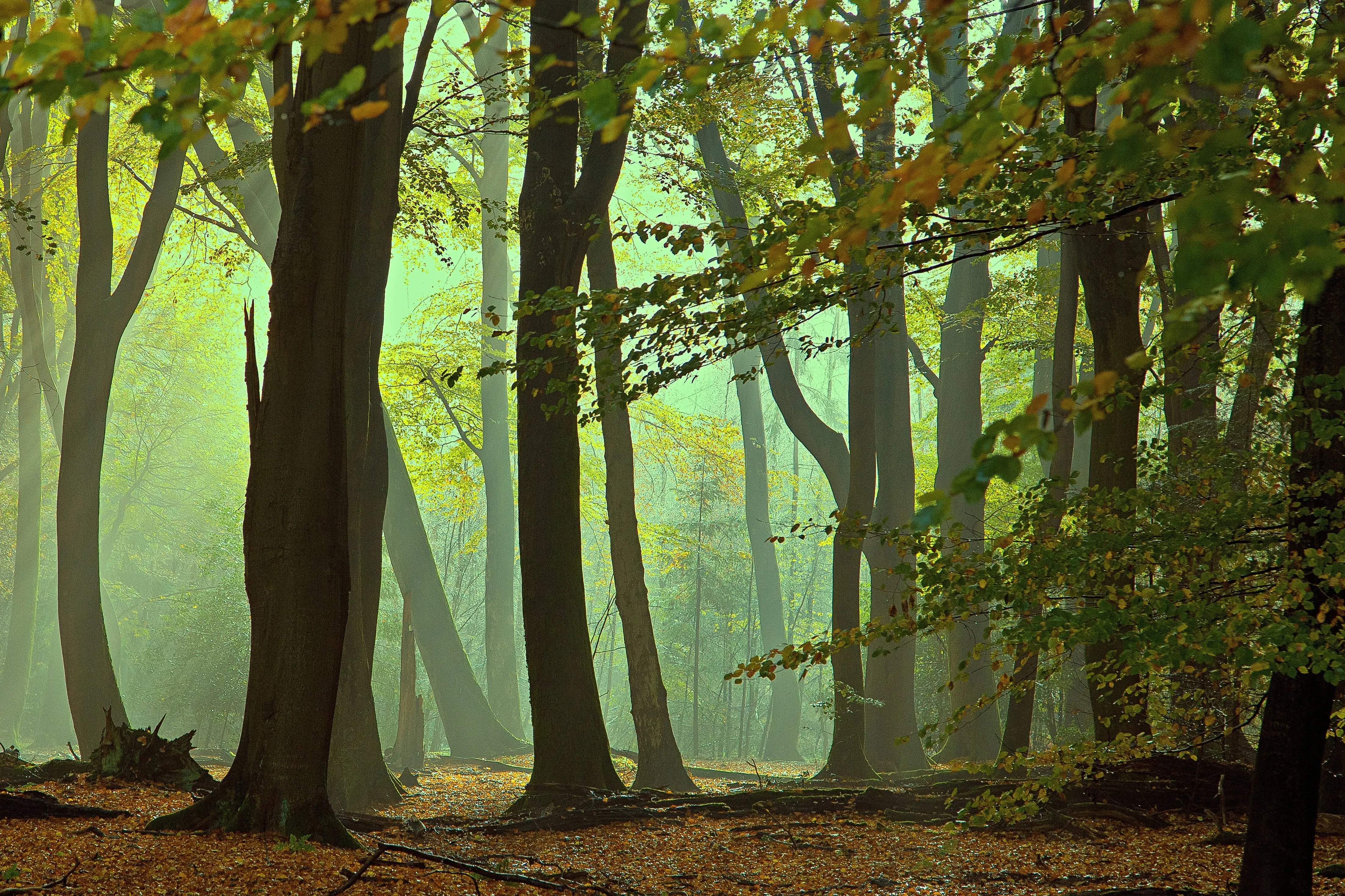 Wat te doen in Lochem in de herfst