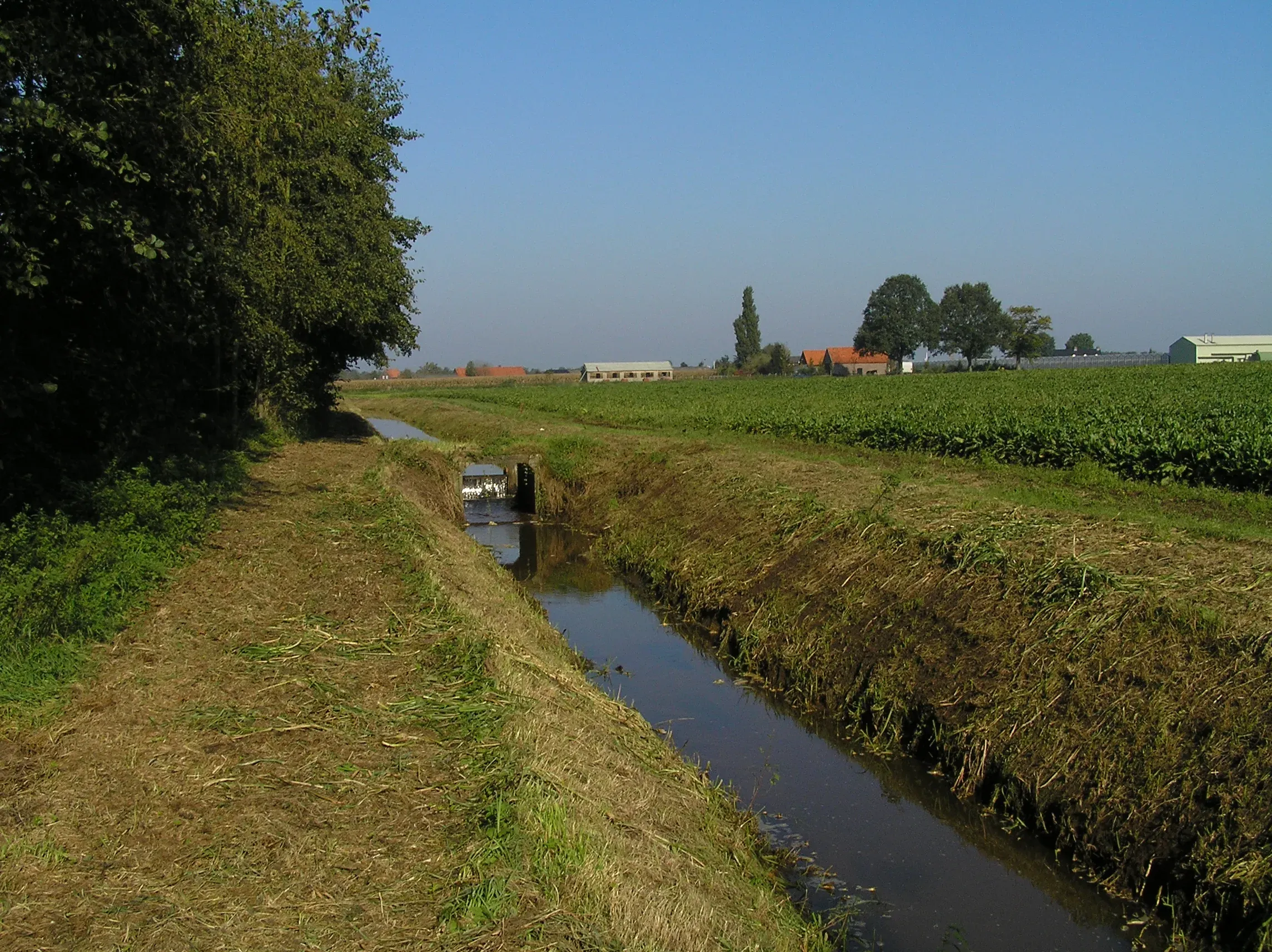 Wat te doen in Maasbree in de herfst