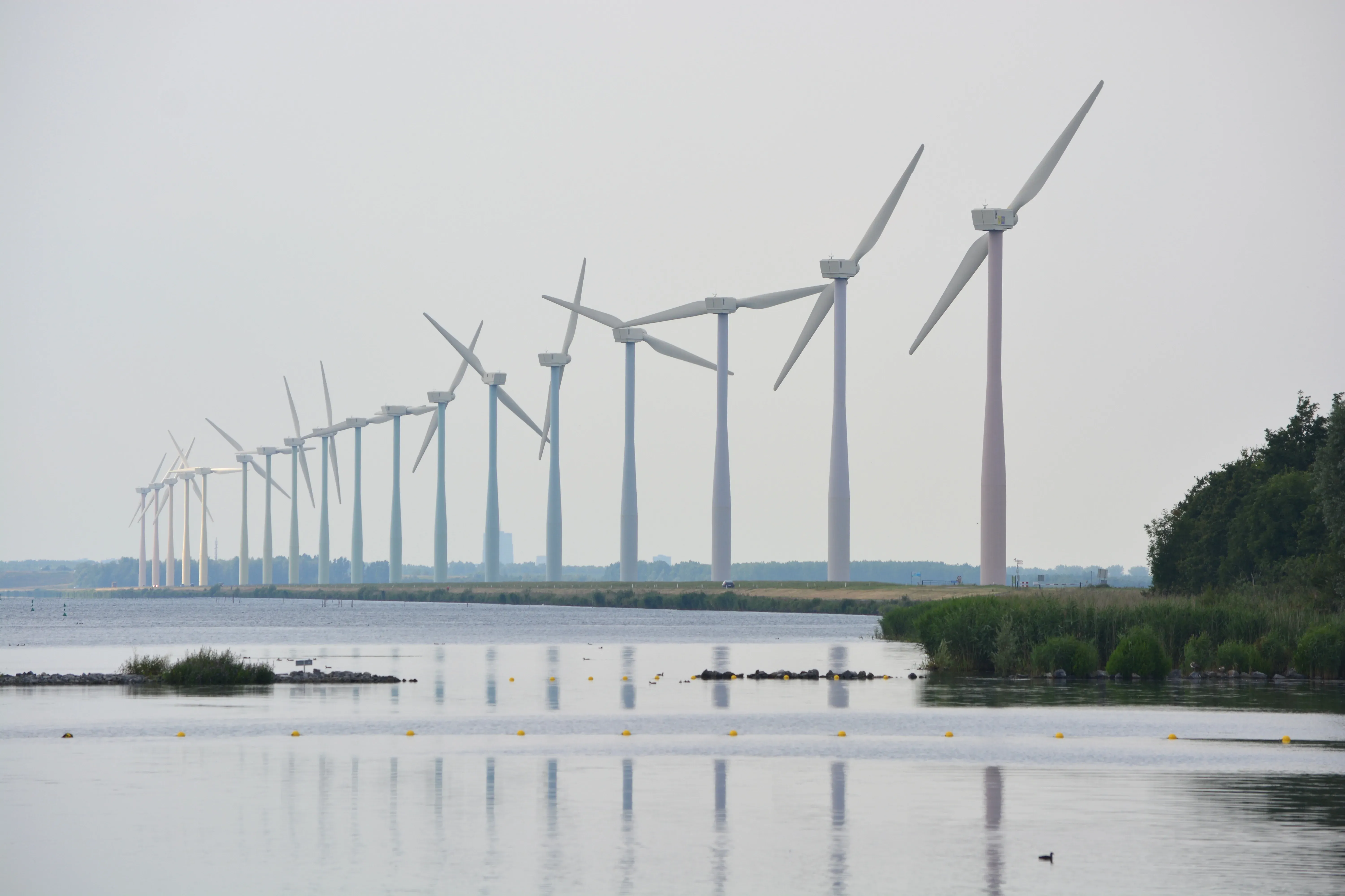 Wat te doen in Zeewolde in de zomer