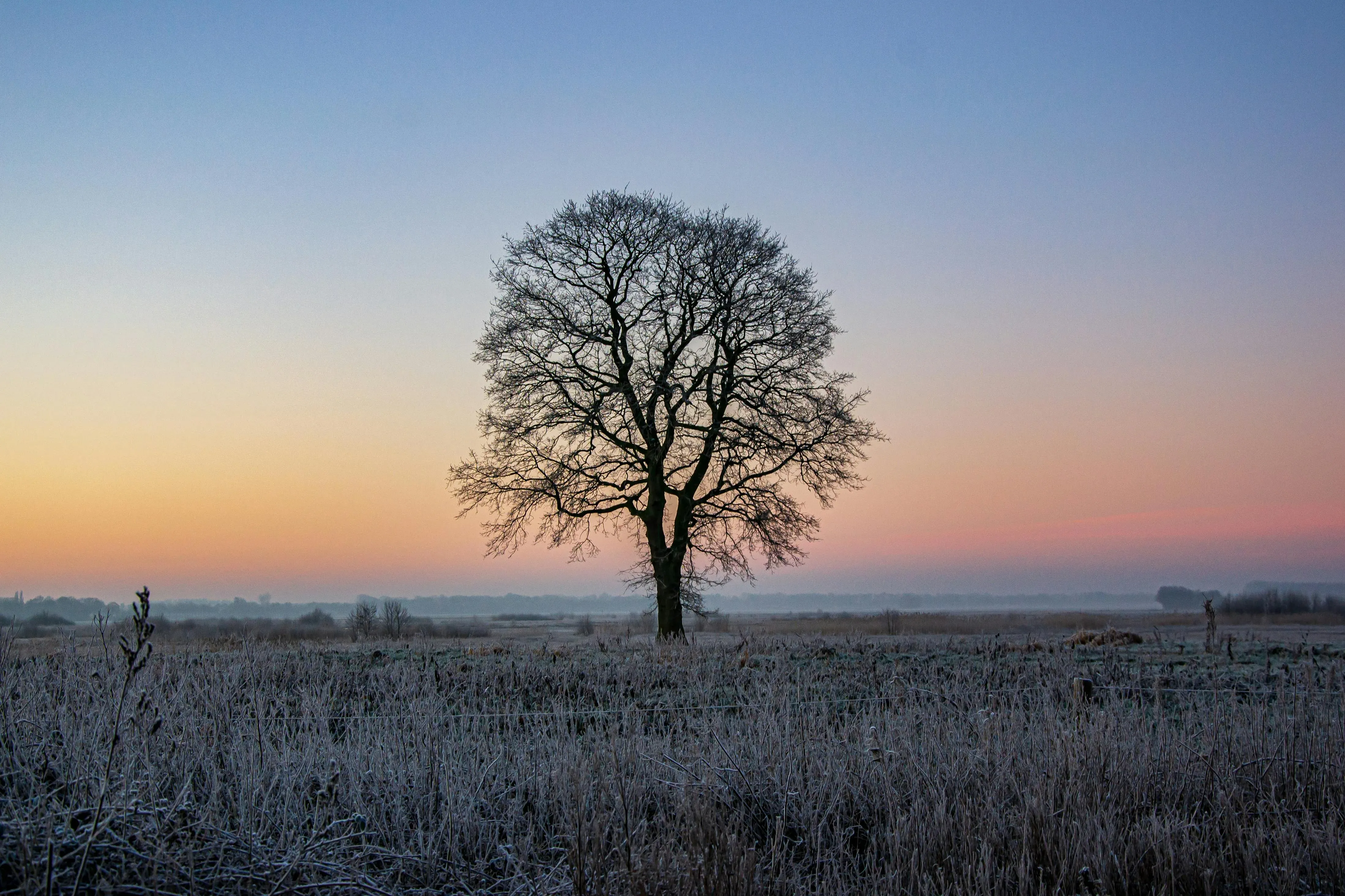 Wat te doen in Borger in de winter