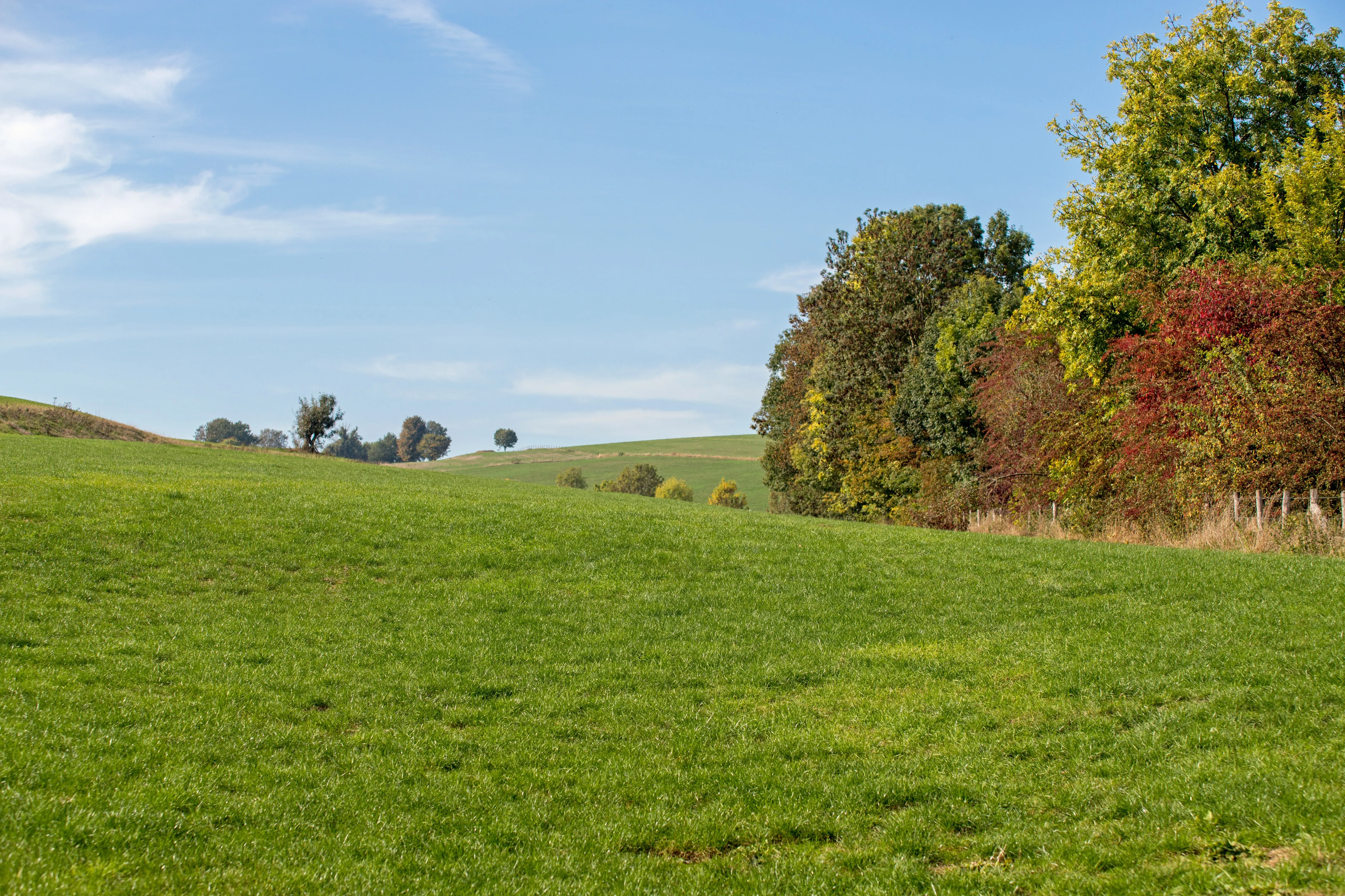 Wat te doen in Simpelveld in de herfst