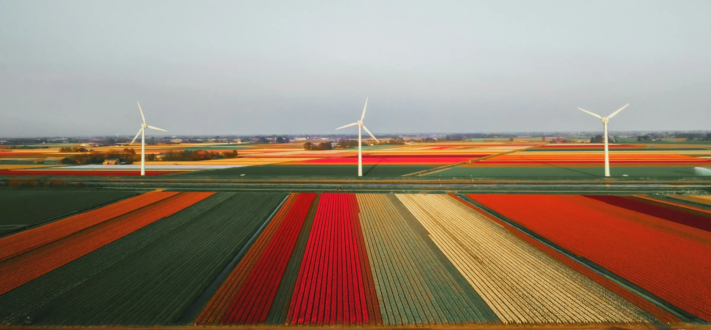 Wat te doen in Callantsoog in de lente