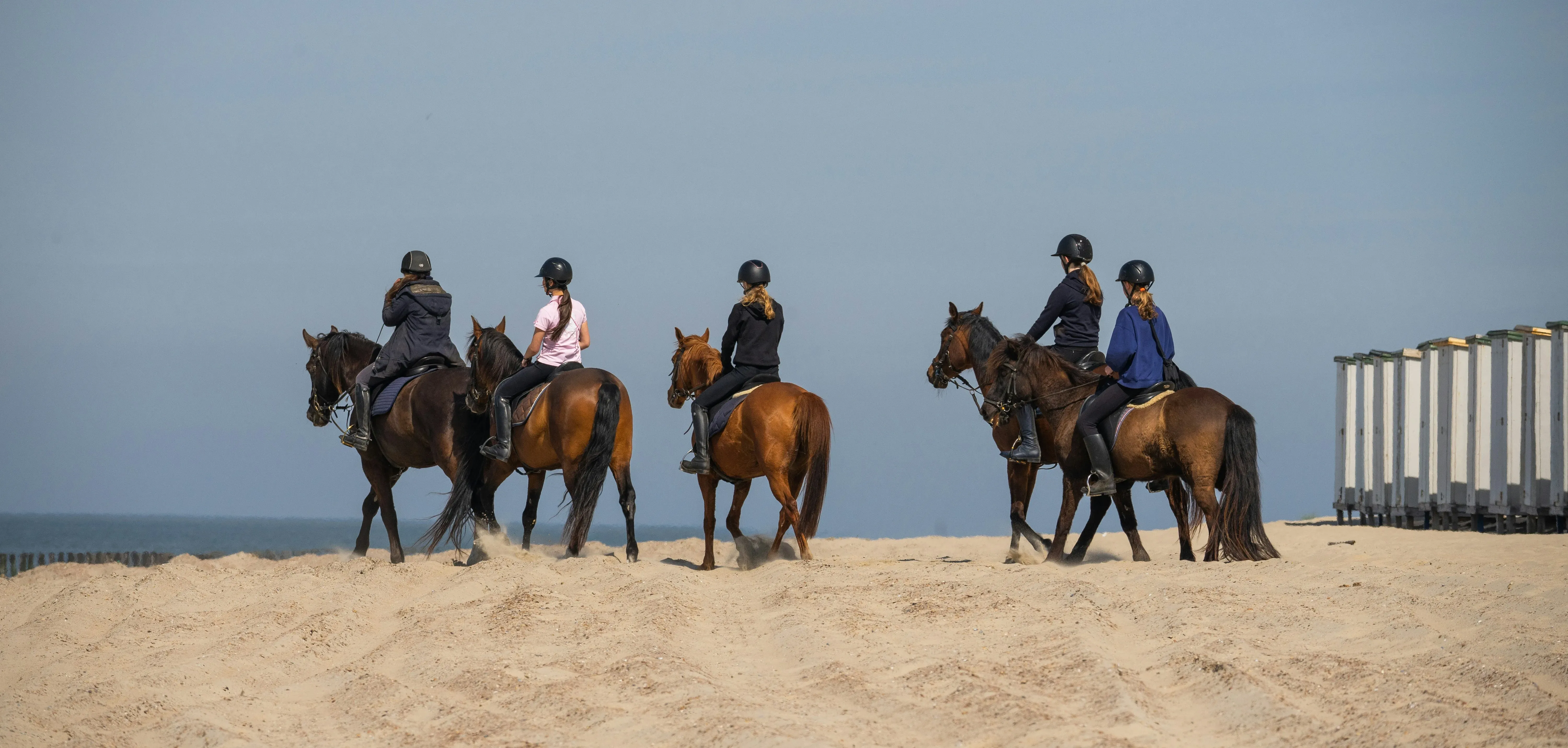 Wat te doen in Burgh Haamstede in de zomer