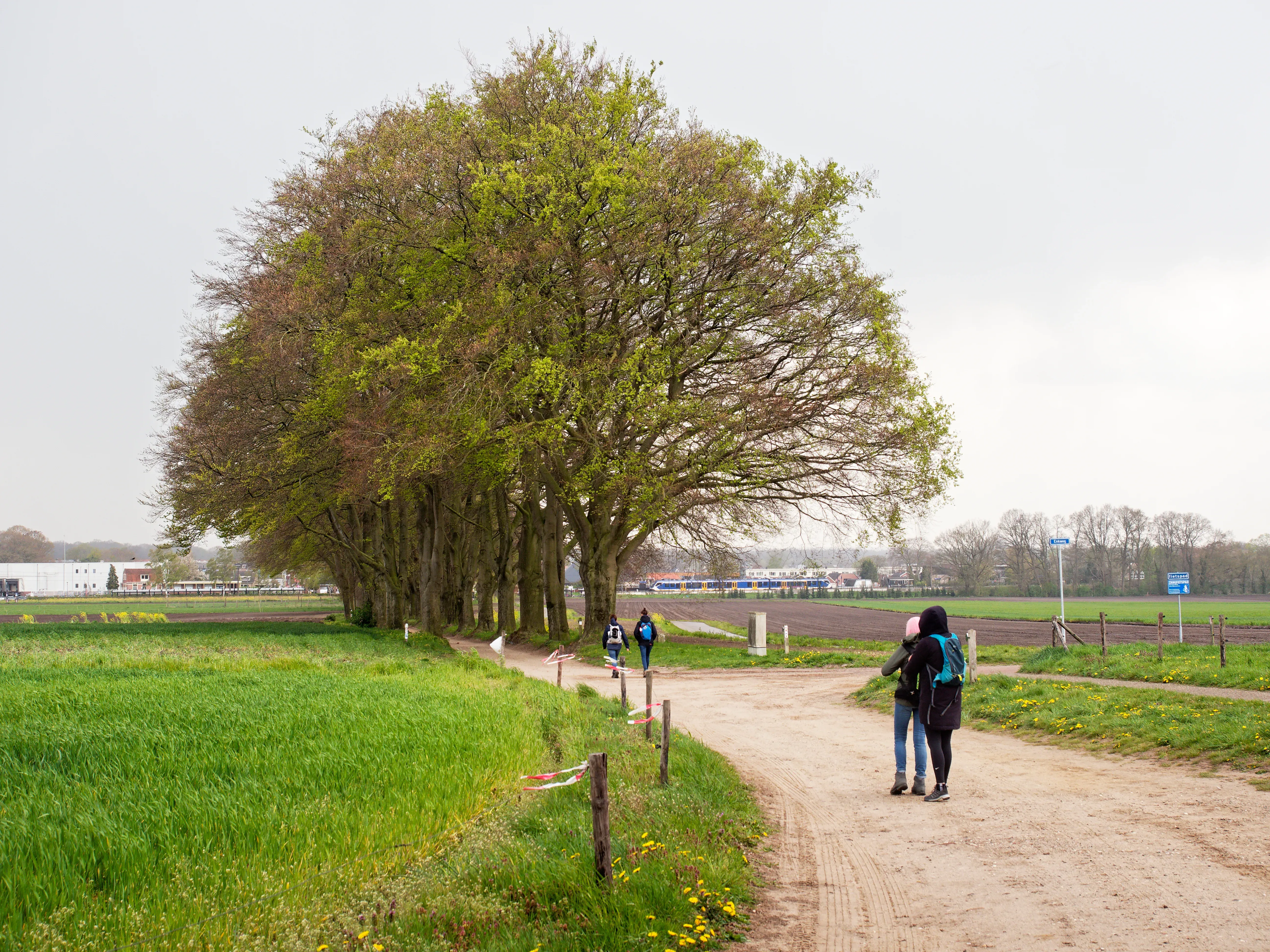 Wat te doen in Holten in de lente