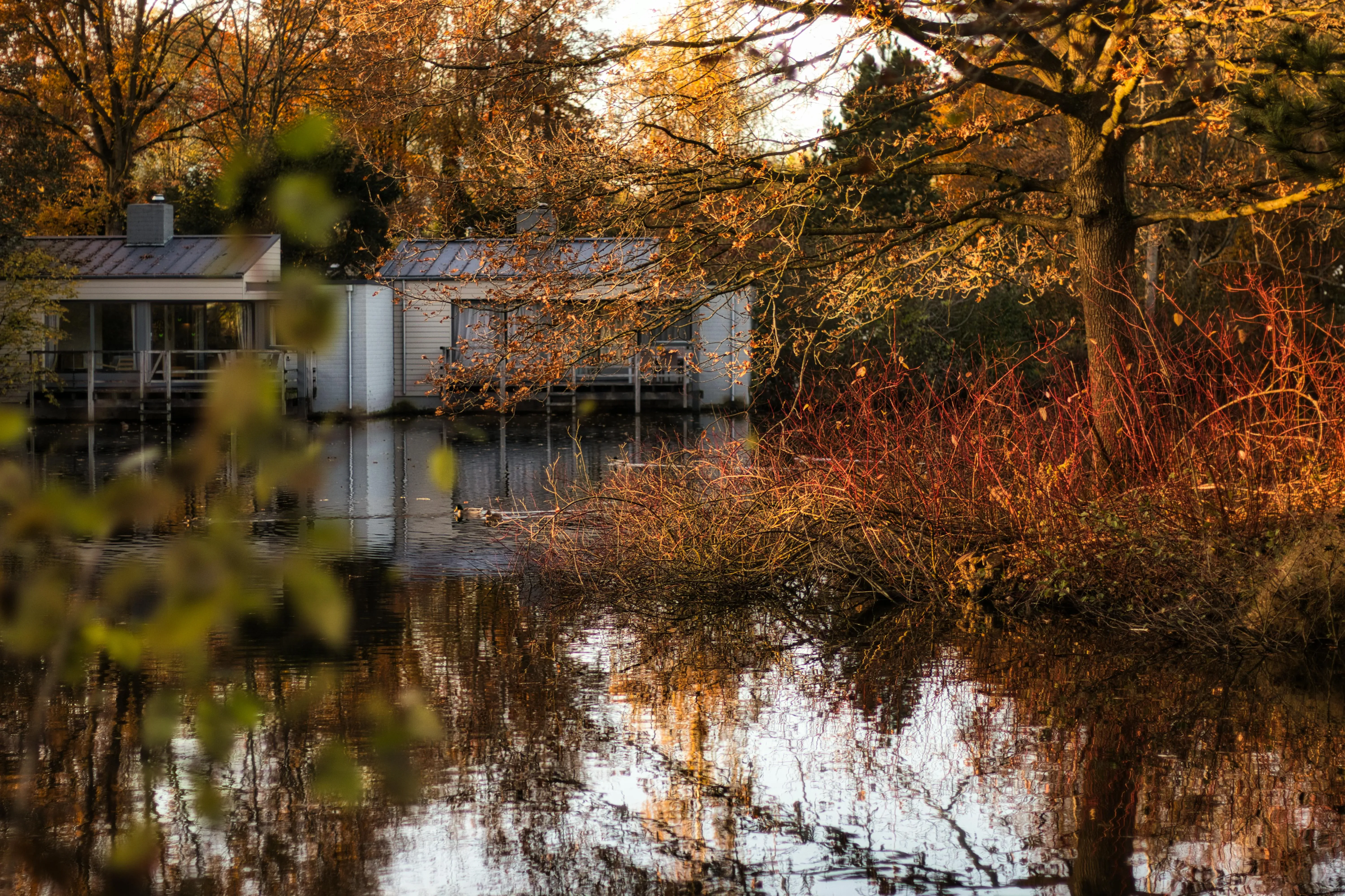 Wat te doen in Zeewolde in de herfst