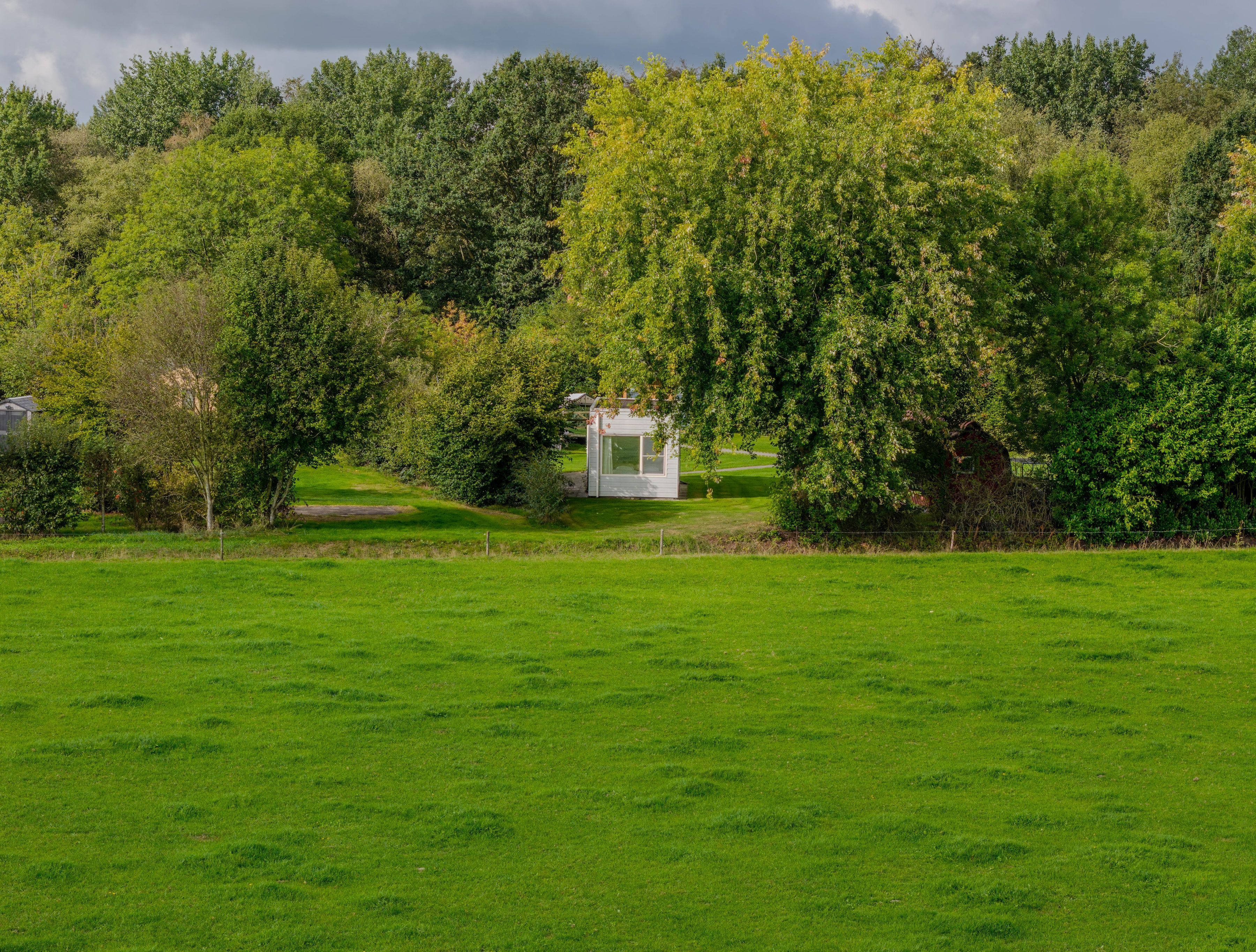 Park photo