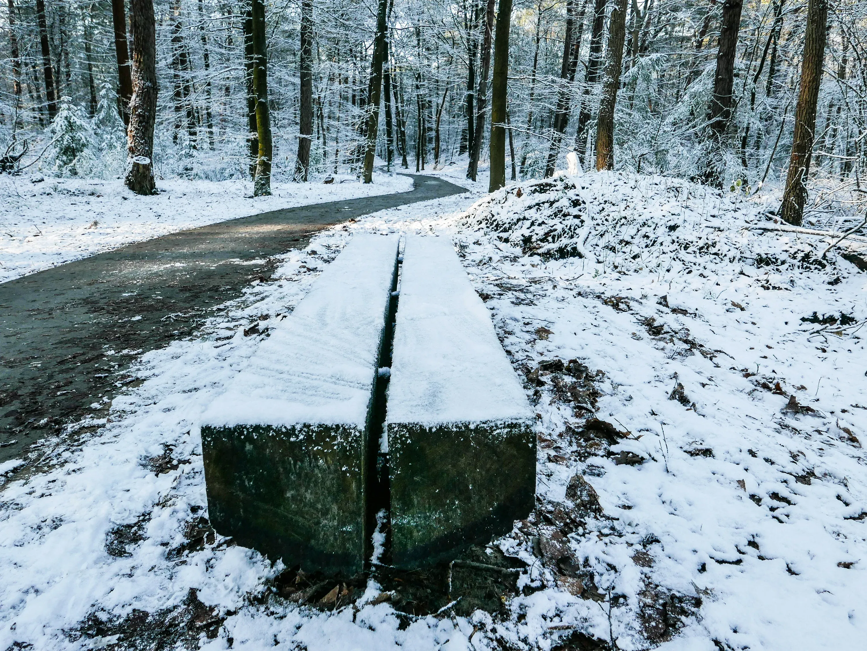 Wat te doen in Appelscha in de winter