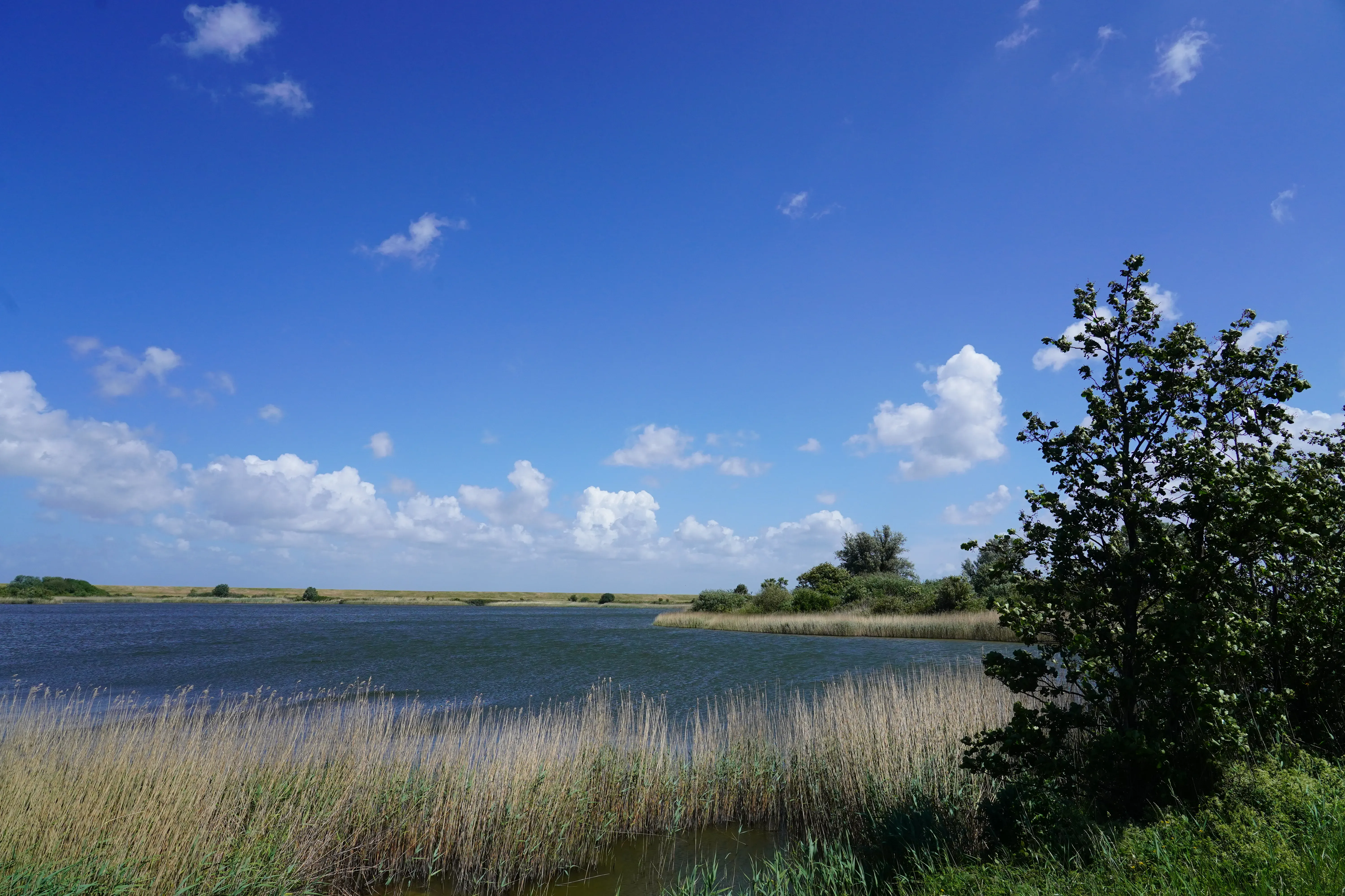 Wat te doen in Bruinisse in de lente