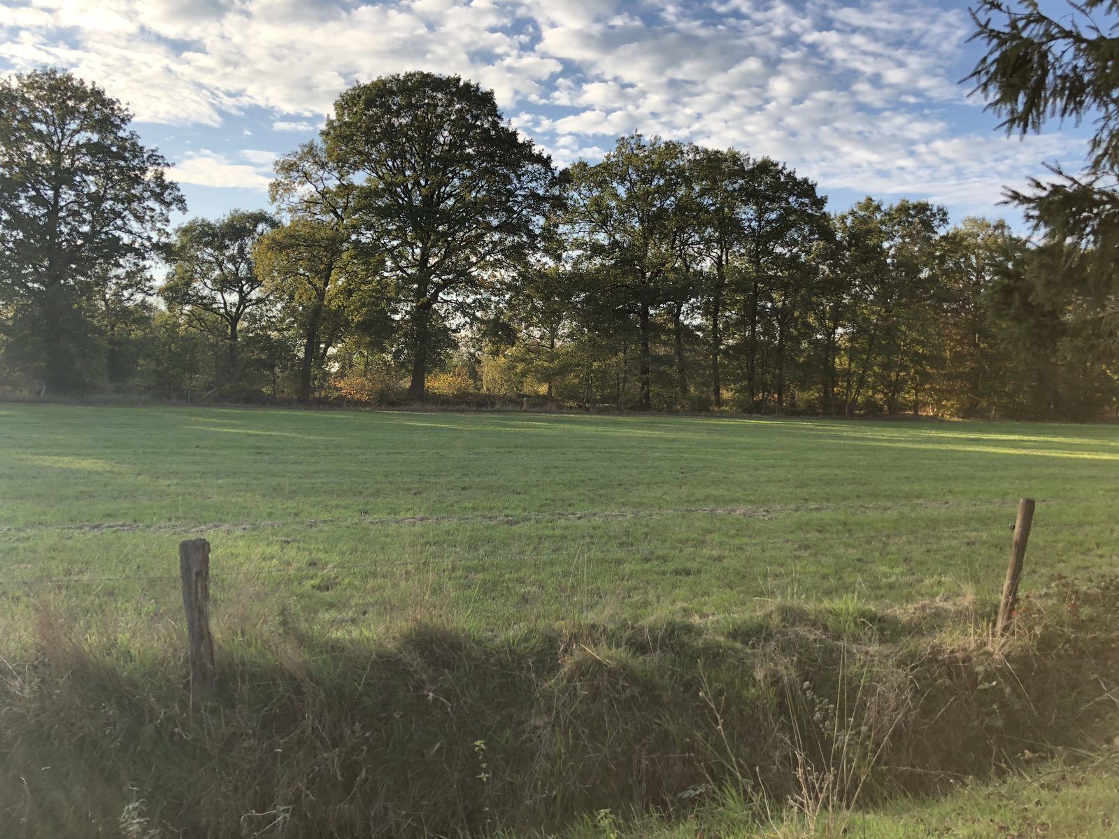 Park photo