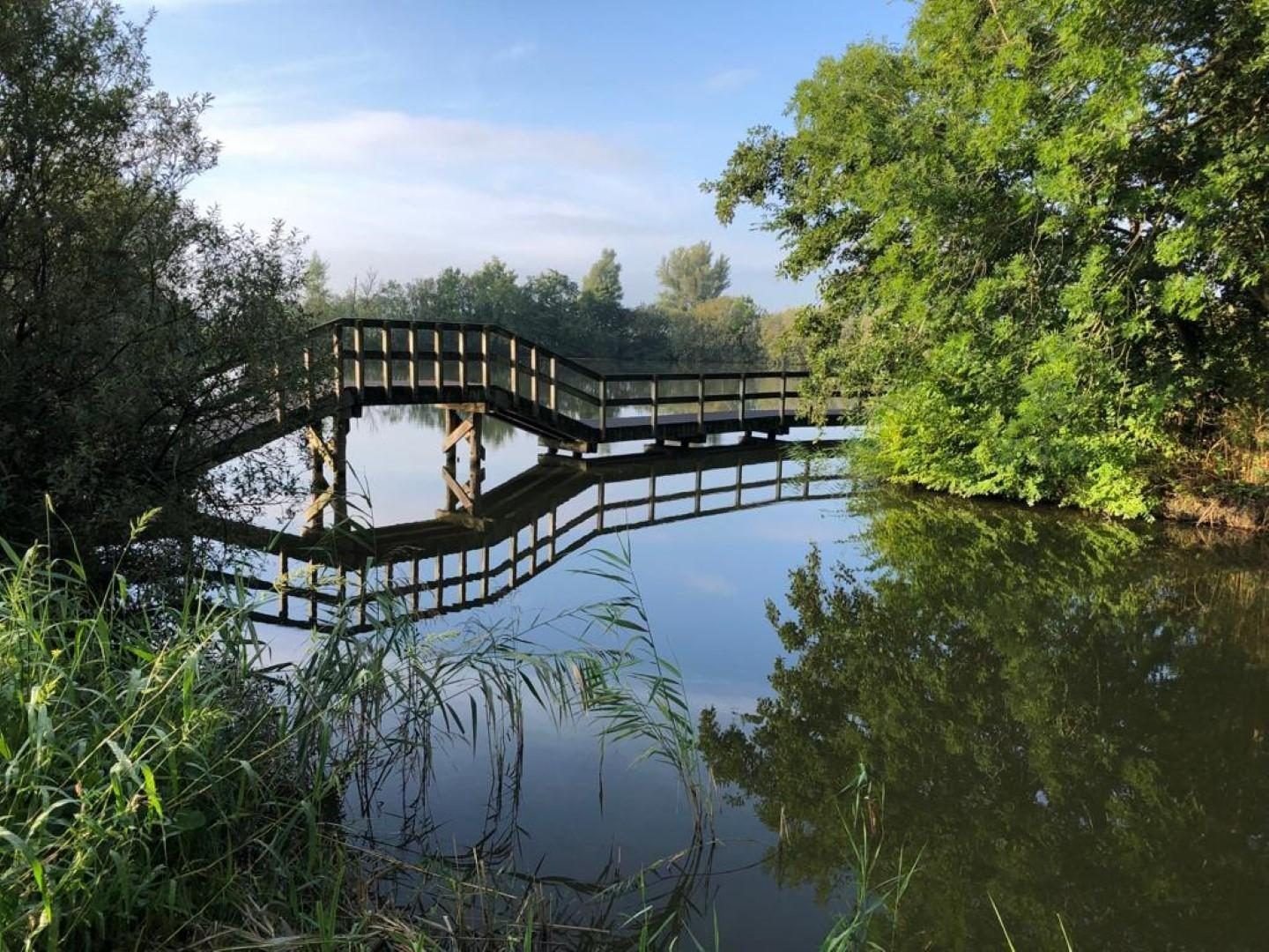 Park photo