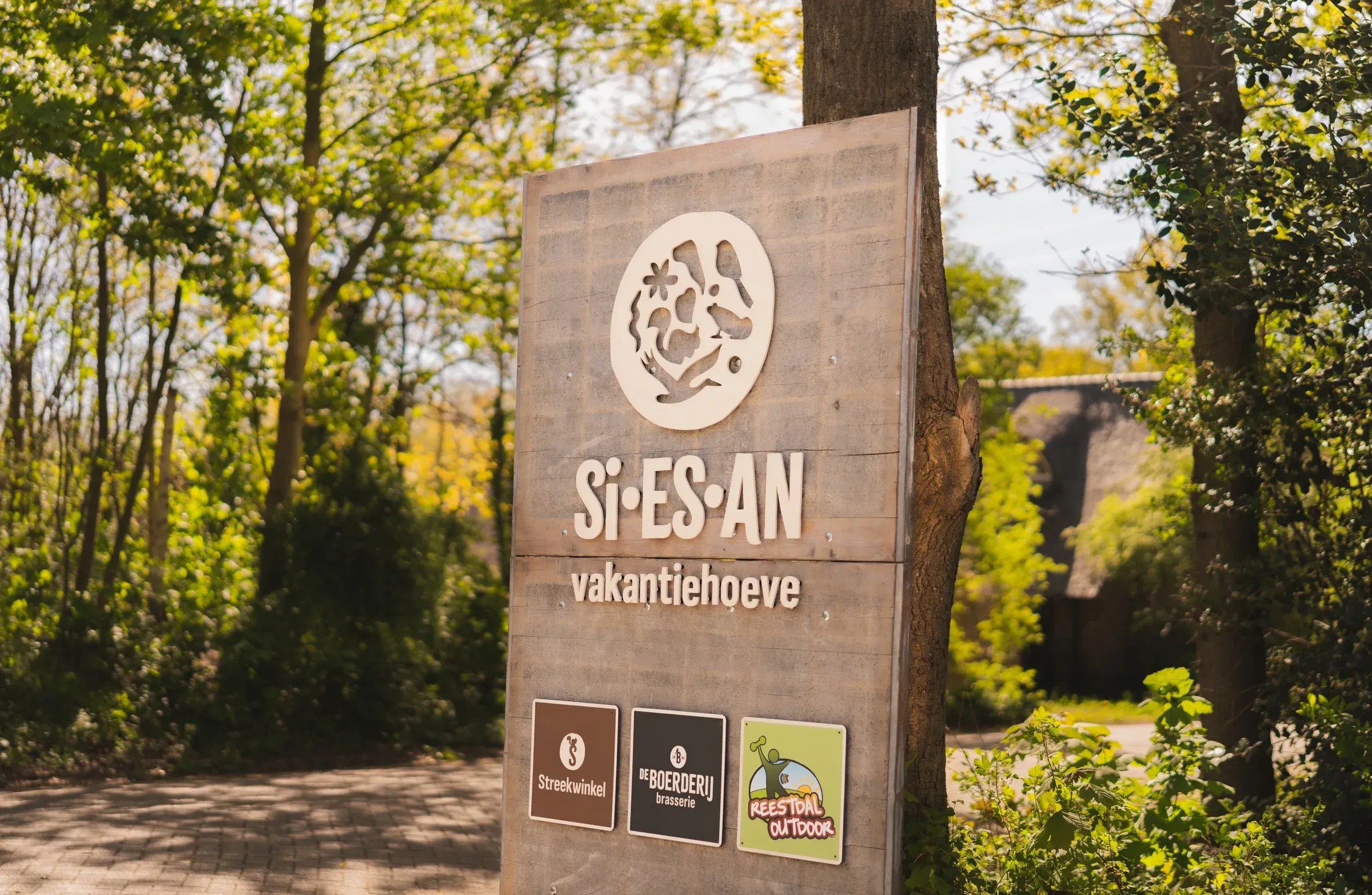 Park photo