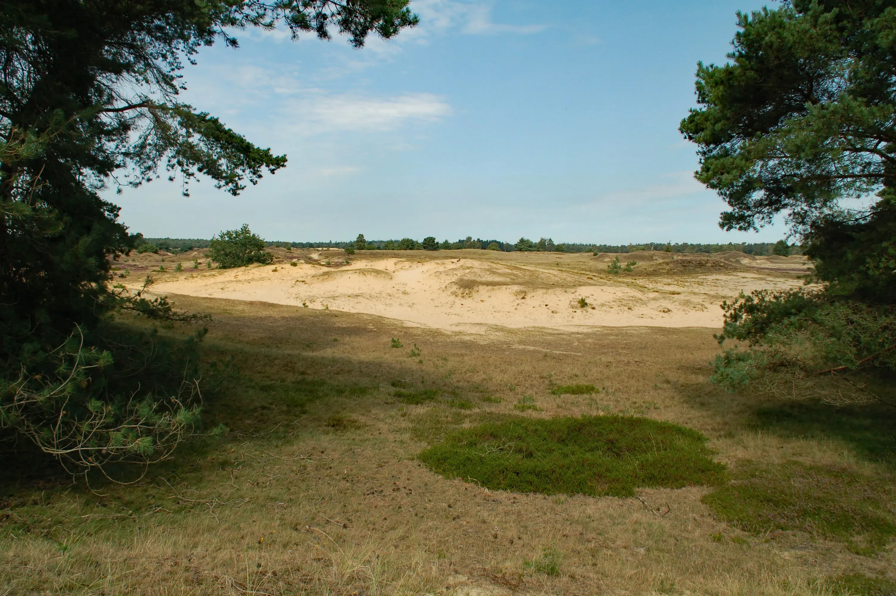 Wat te doen in Appelscha in de zomer