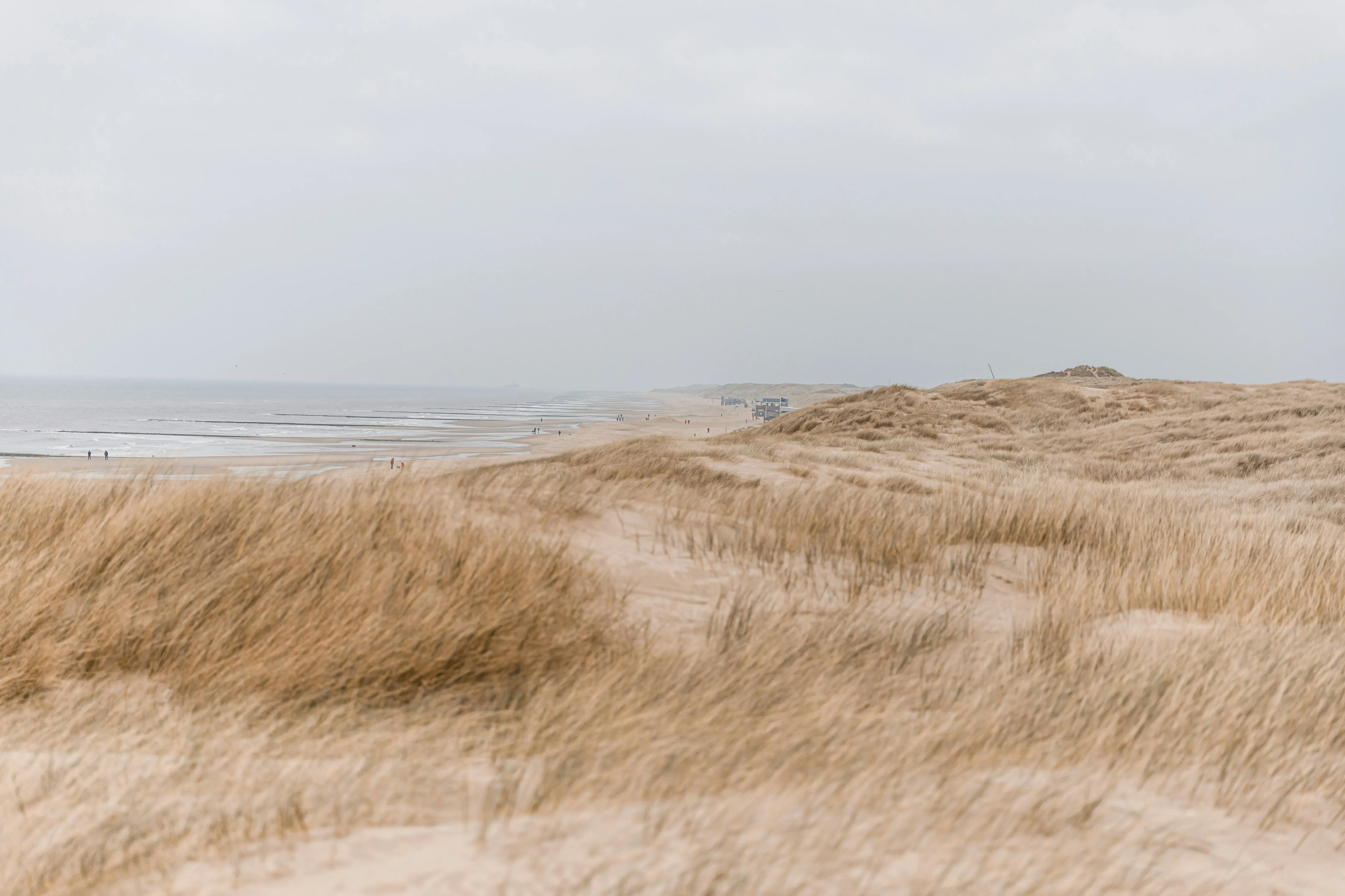 Wat te doen in Callantsoog in de winter